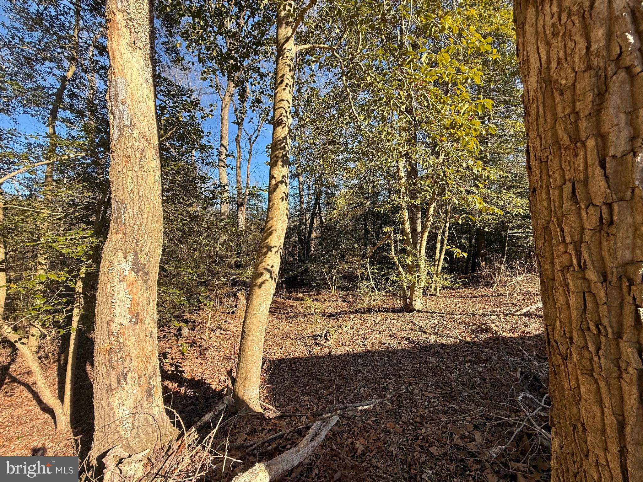 PINE LAKE - Residential