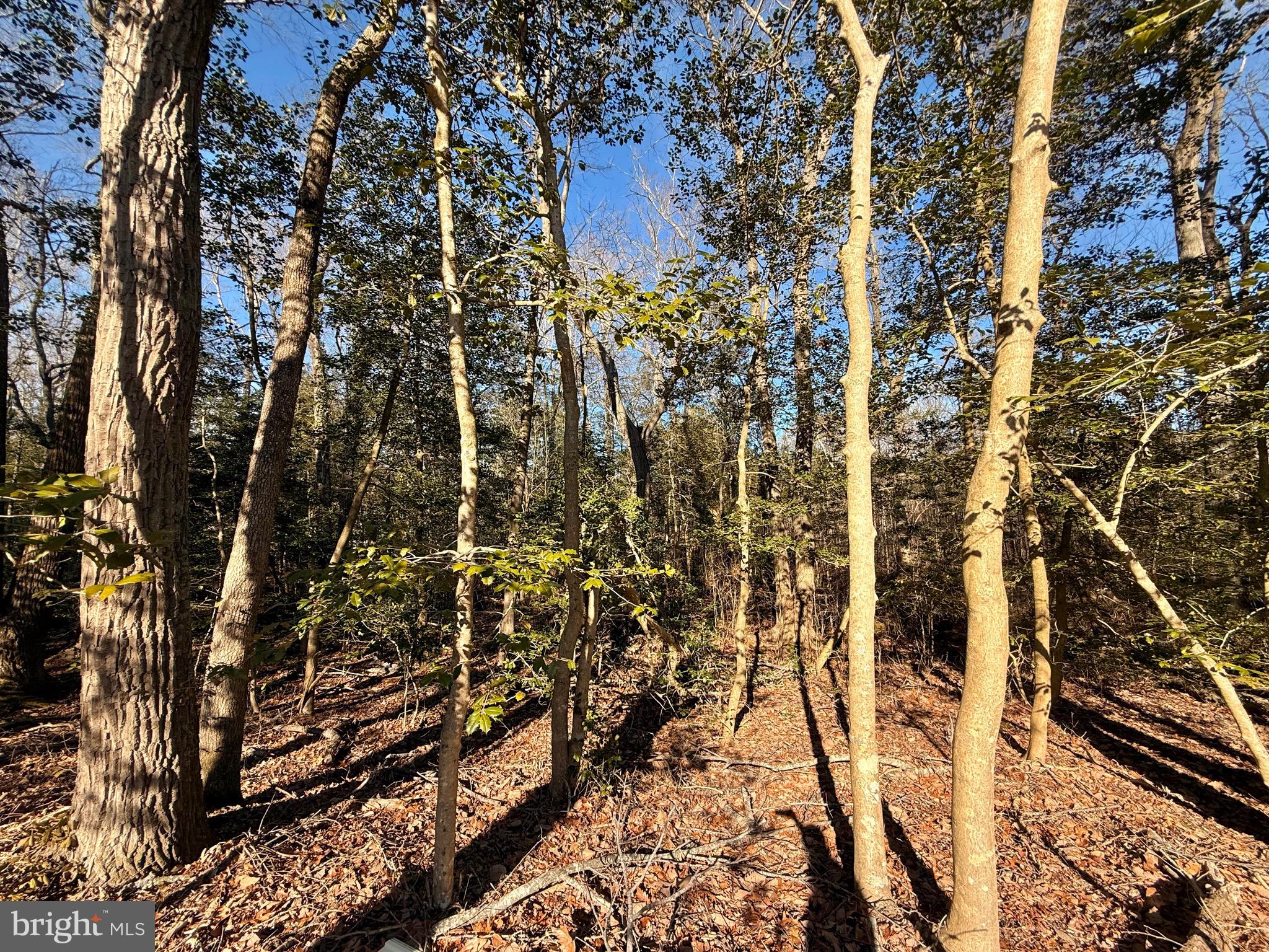 PINE LAKE - Residential