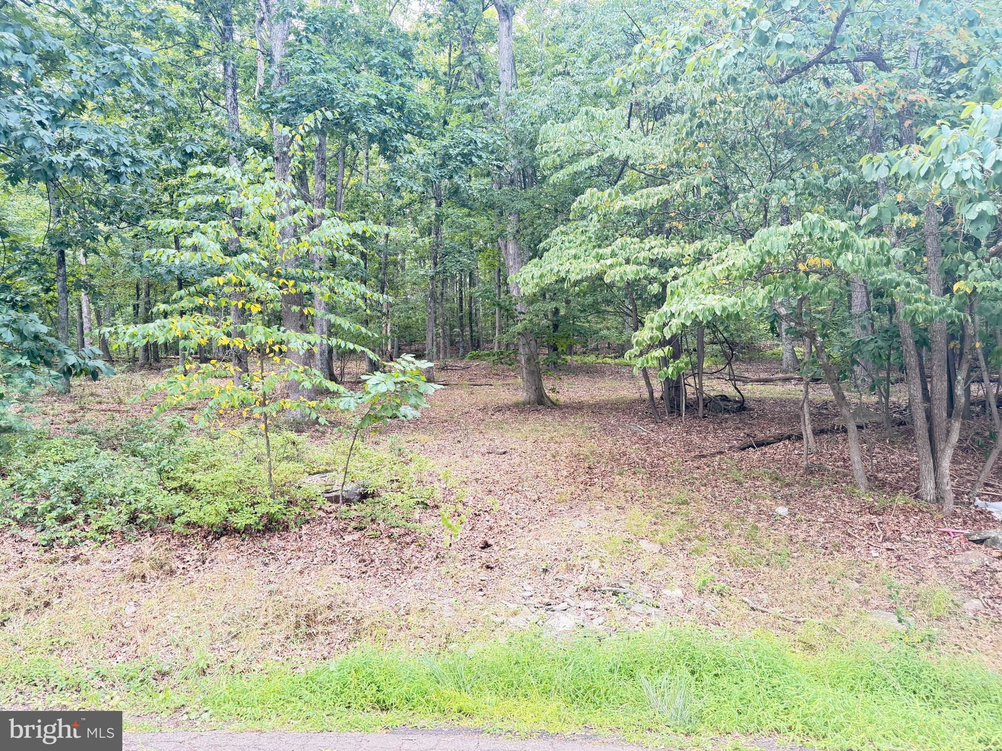 39 GOODWIN DR