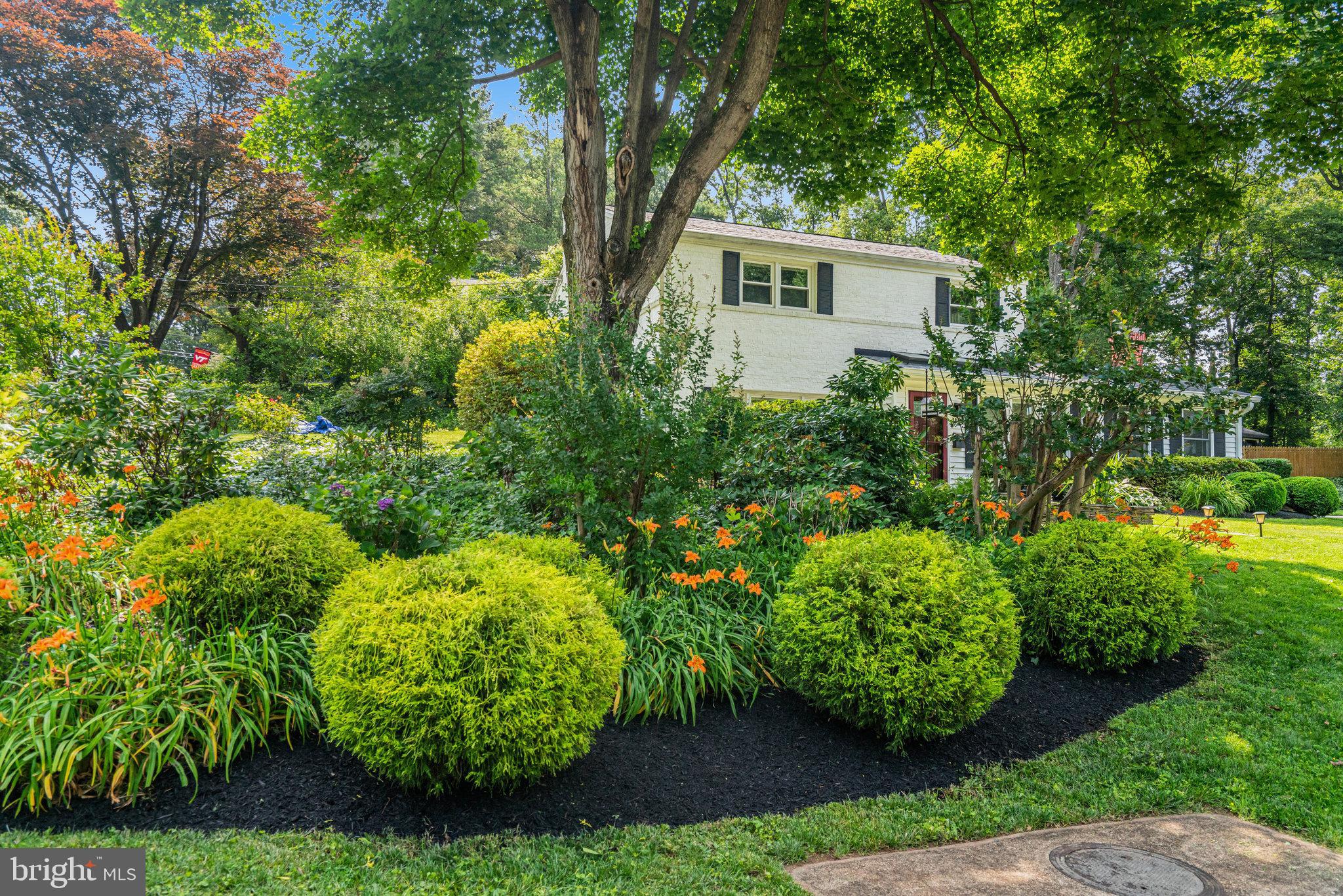 BELVEDERE - Residential