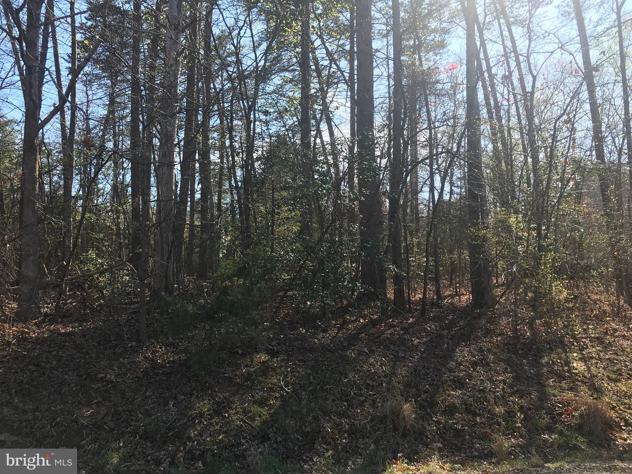 LAKE OF THE WOODS - Residential