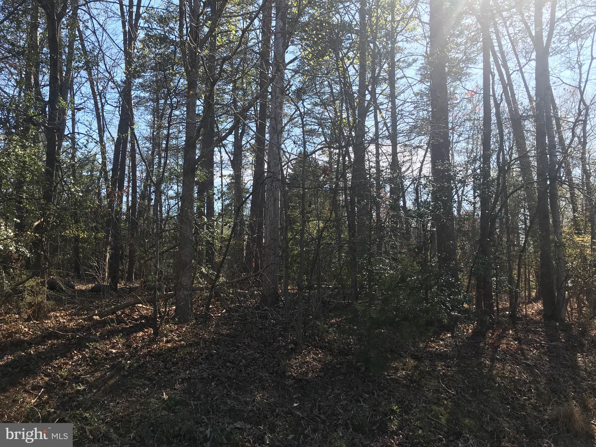 LAKE OF THE WOODS - Residential