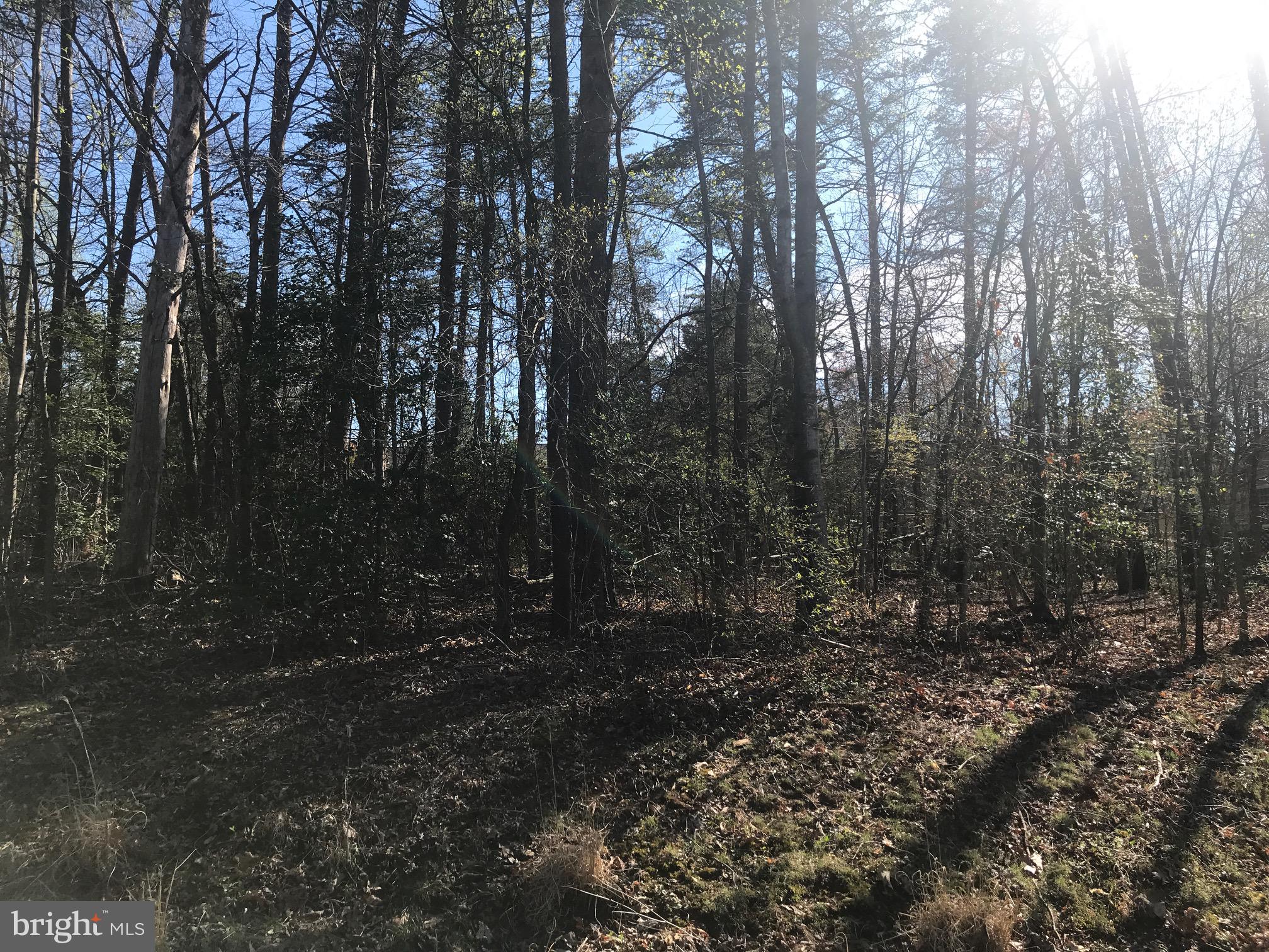 LAKE OF THE WOODS - Residential