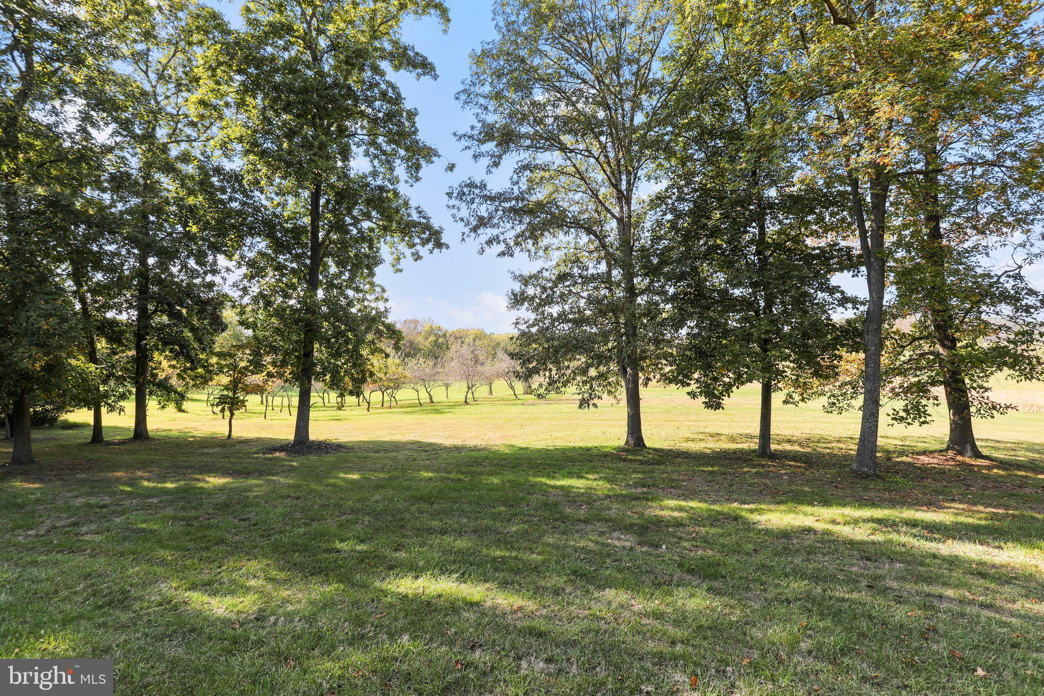 SHEPHERDSTOWN - Residential