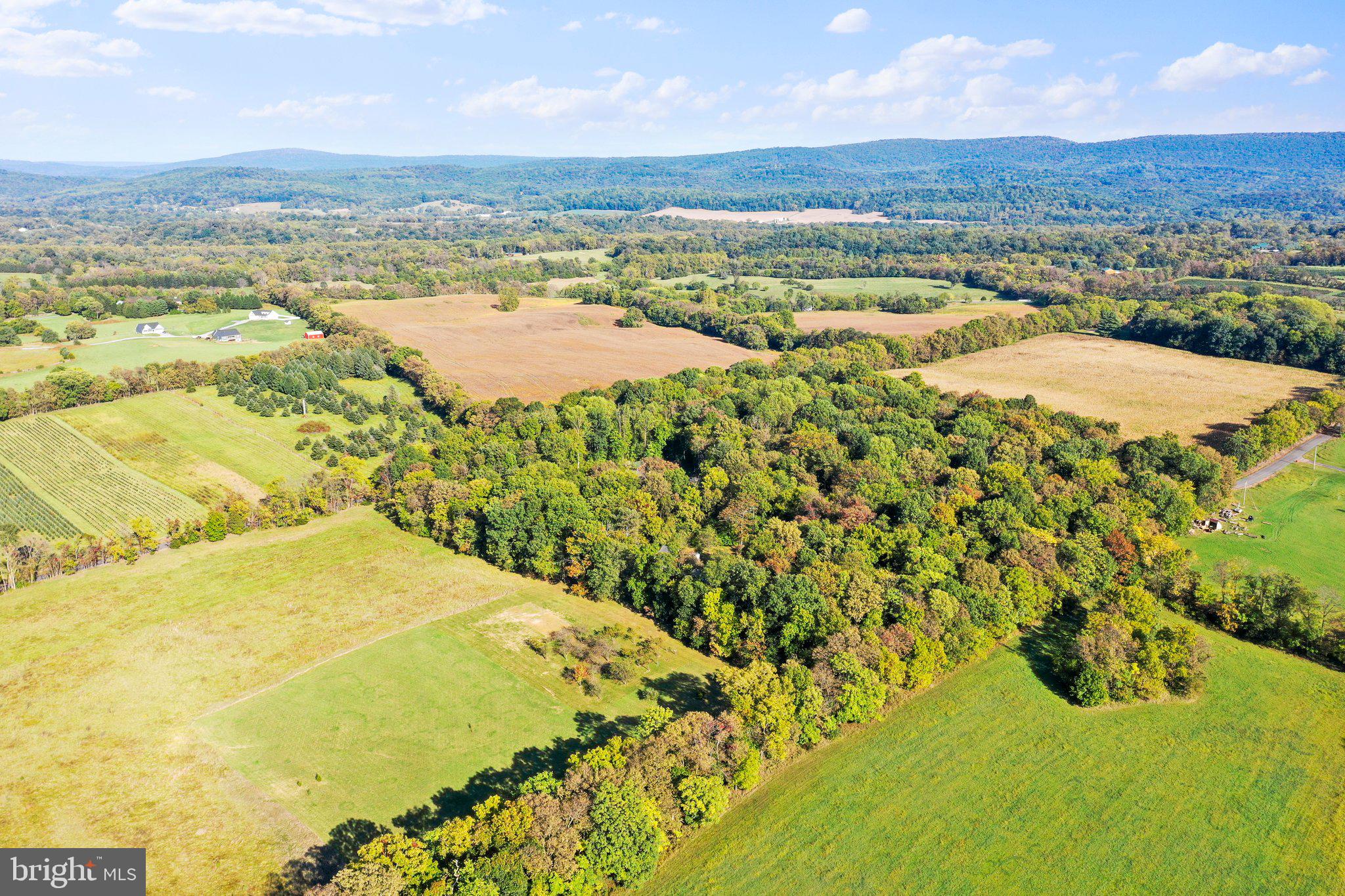 SHEPHERDSTOWN - Residential