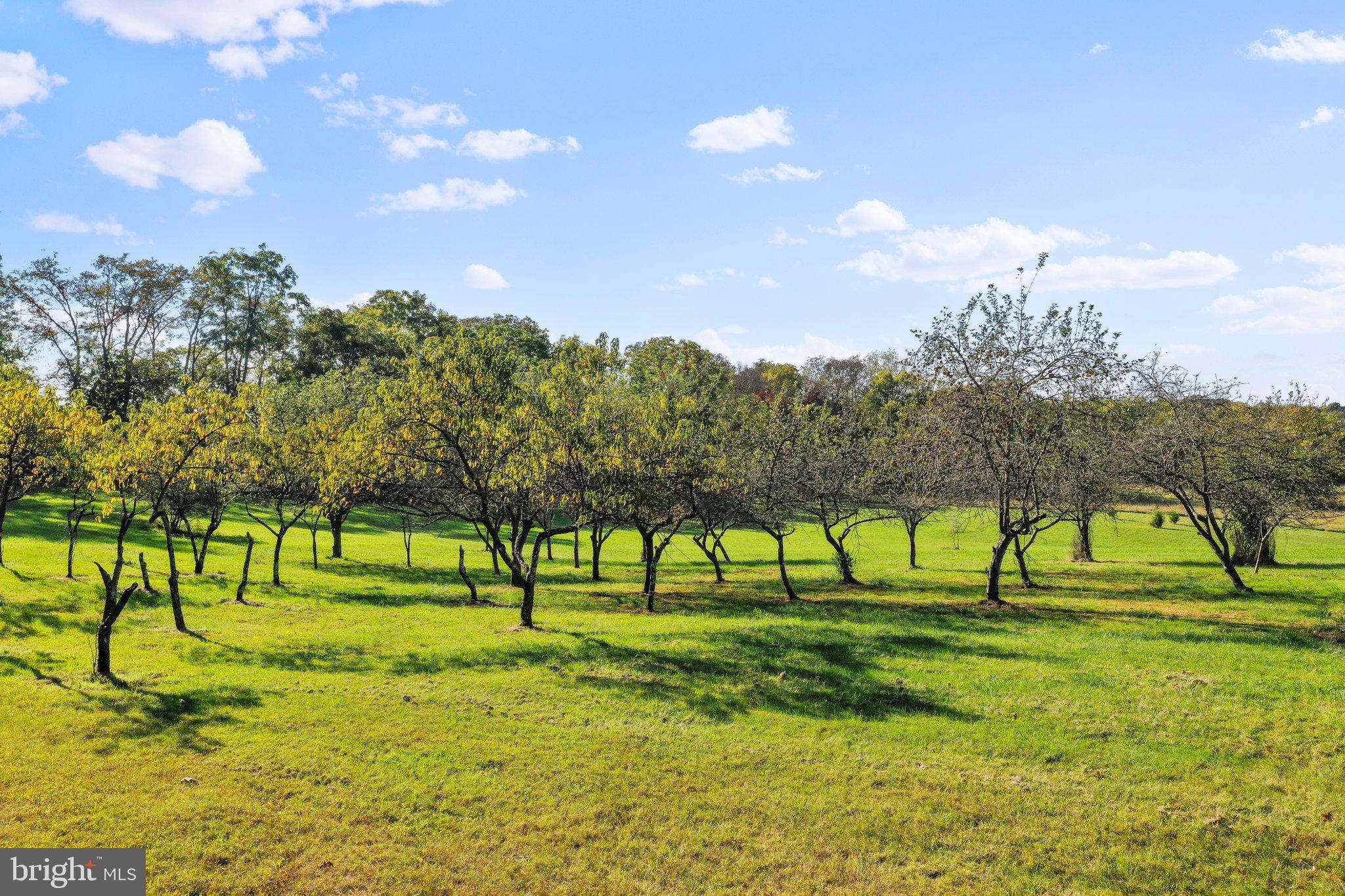 SHEPHERDSTOWN - Residential