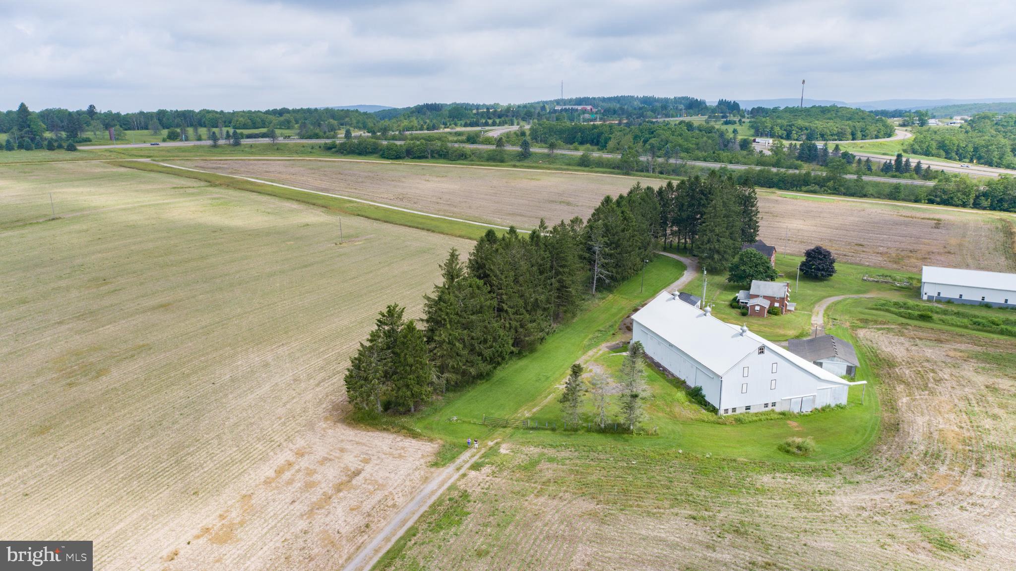 NONE AVAILABLE - Farm