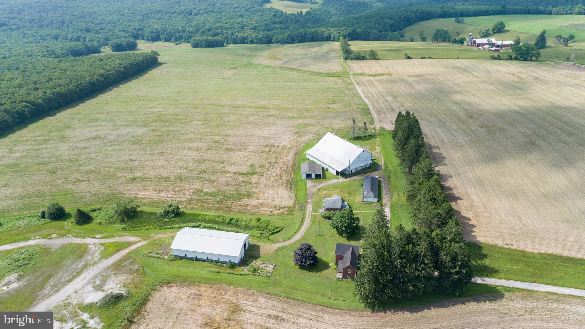 NONE AVAILABLE - Farm