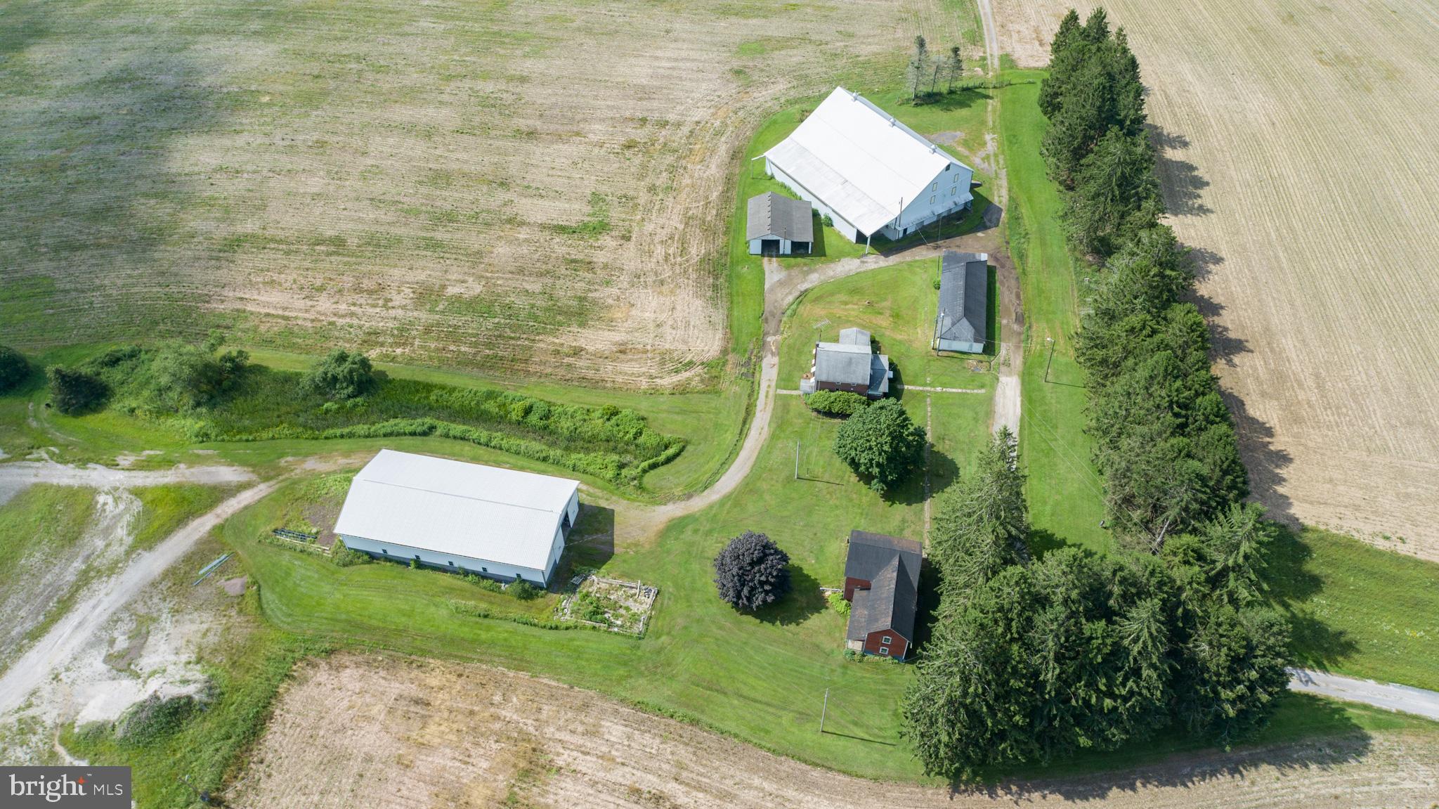 NONE AVAILABLE - Farm