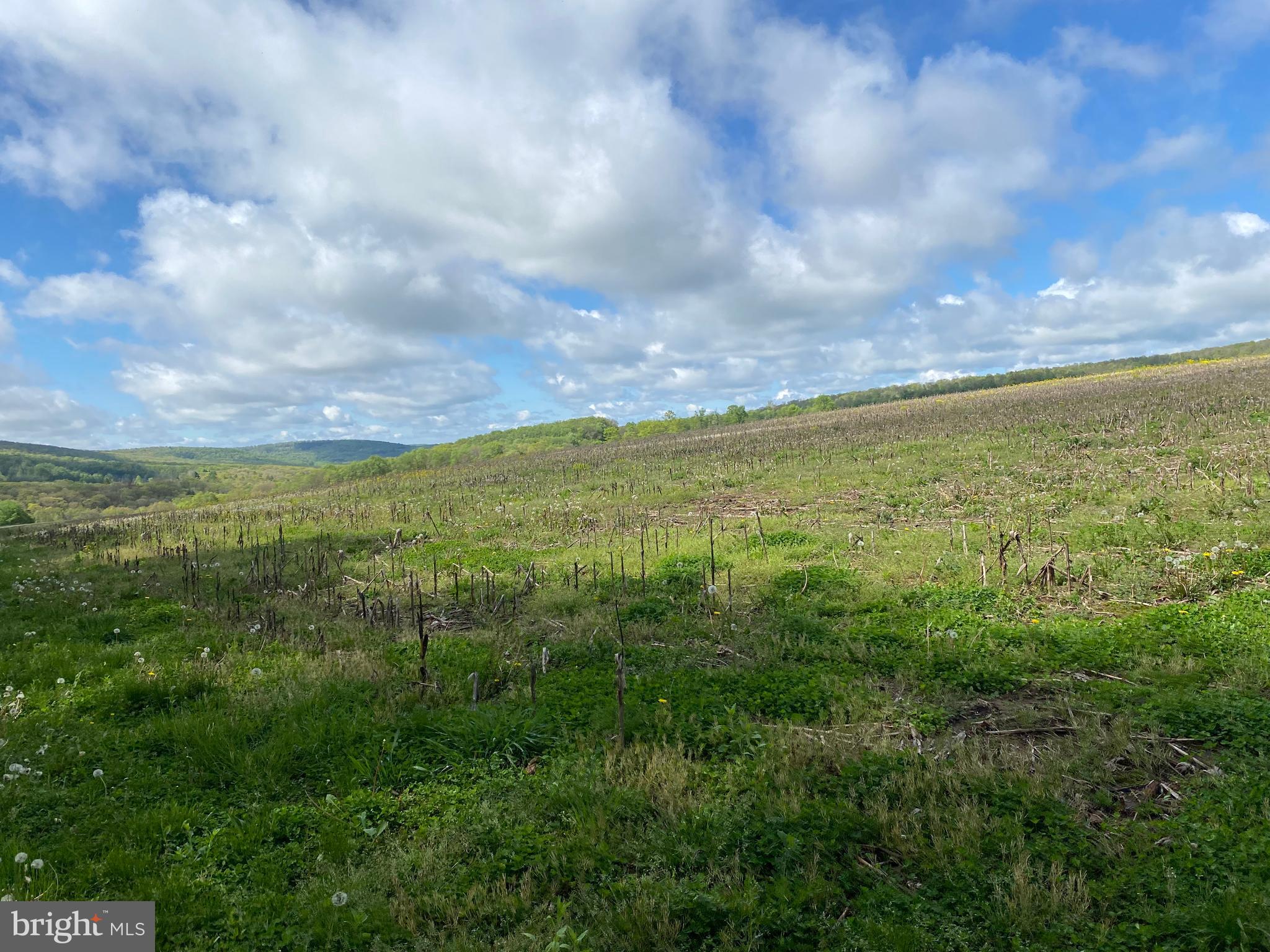 NONE AVAILABLE - Farm