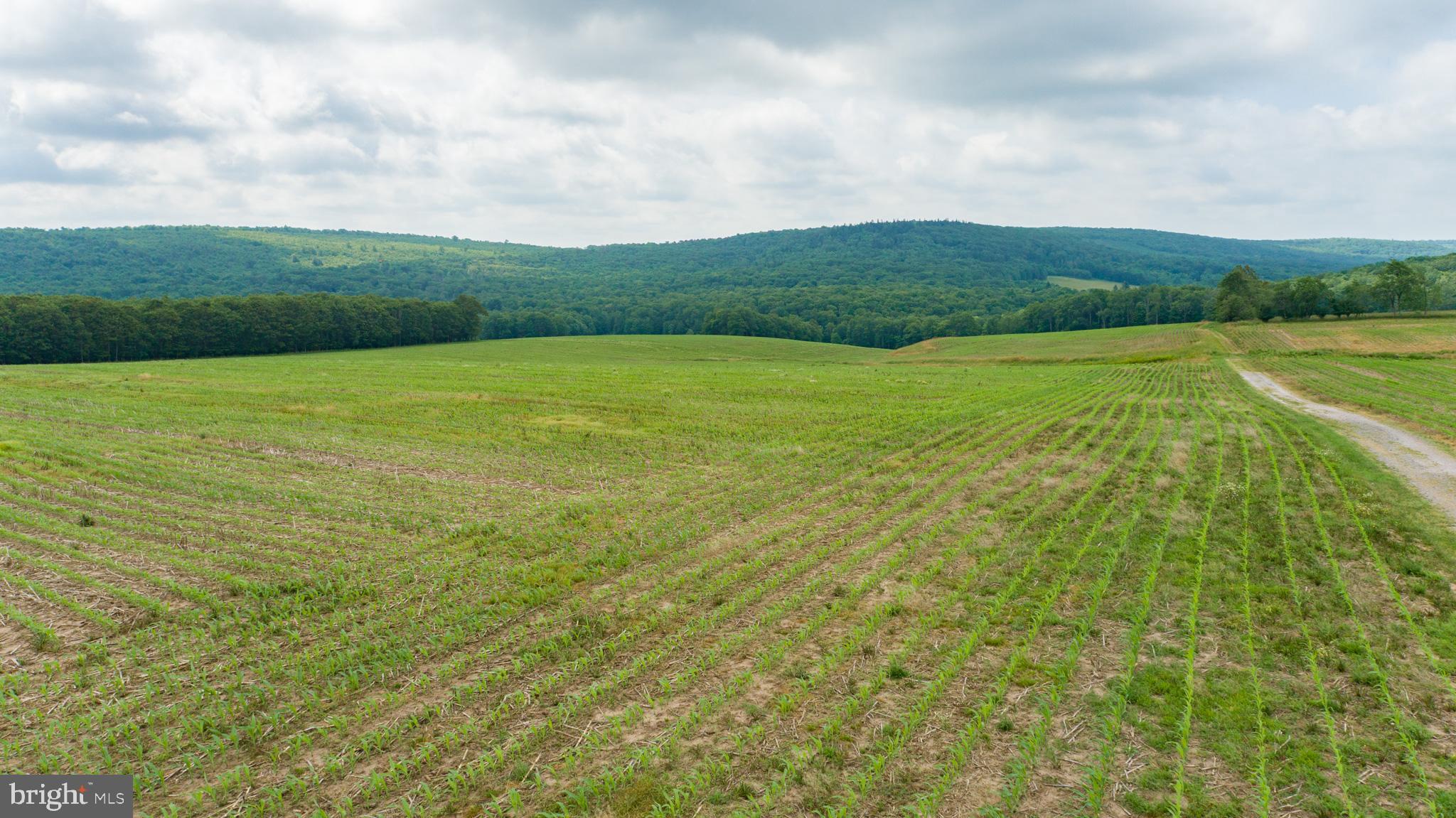 NONE AVAILABLE - Farm