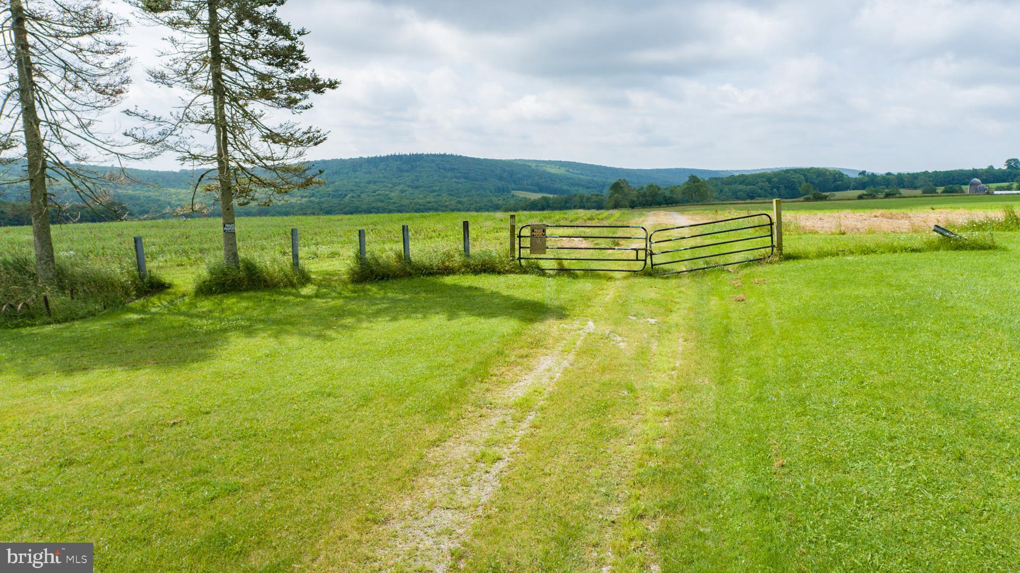 NONE AVAILABLE - Farm