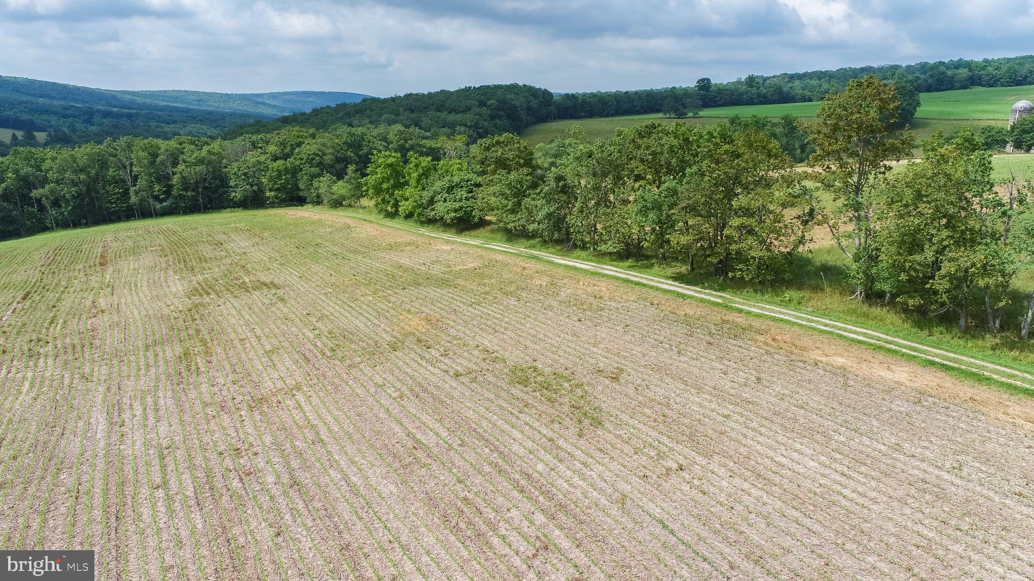 NONE AVAILABLE - Farm