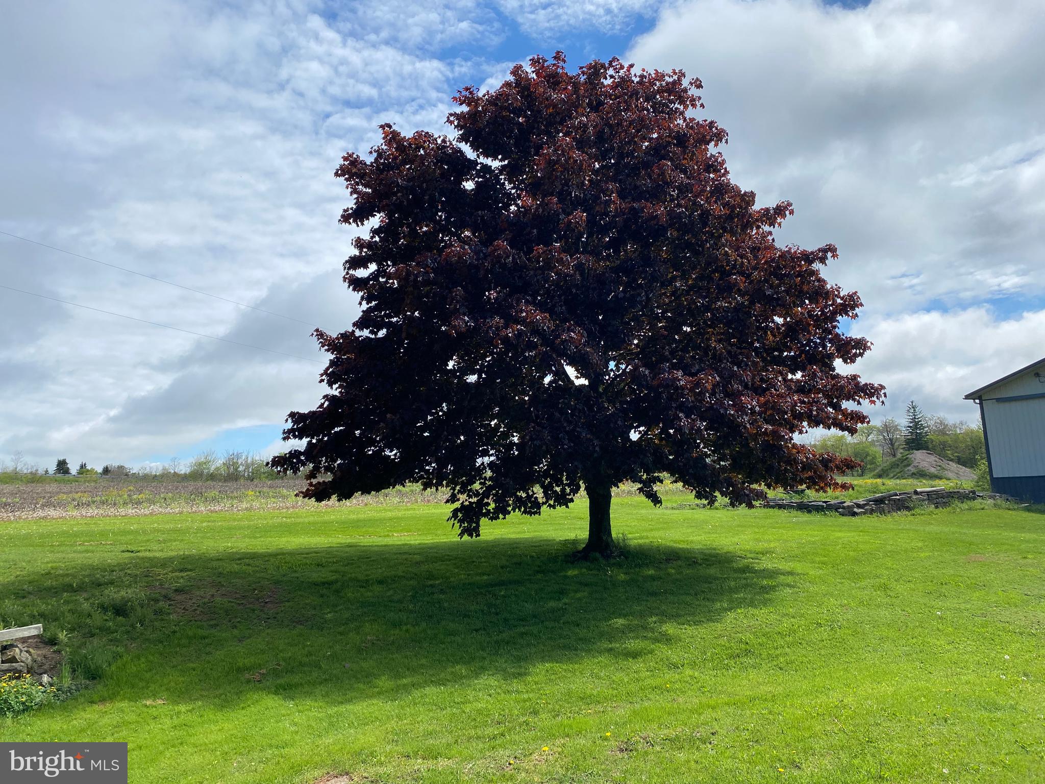 NONE AVAILABLE - Farm