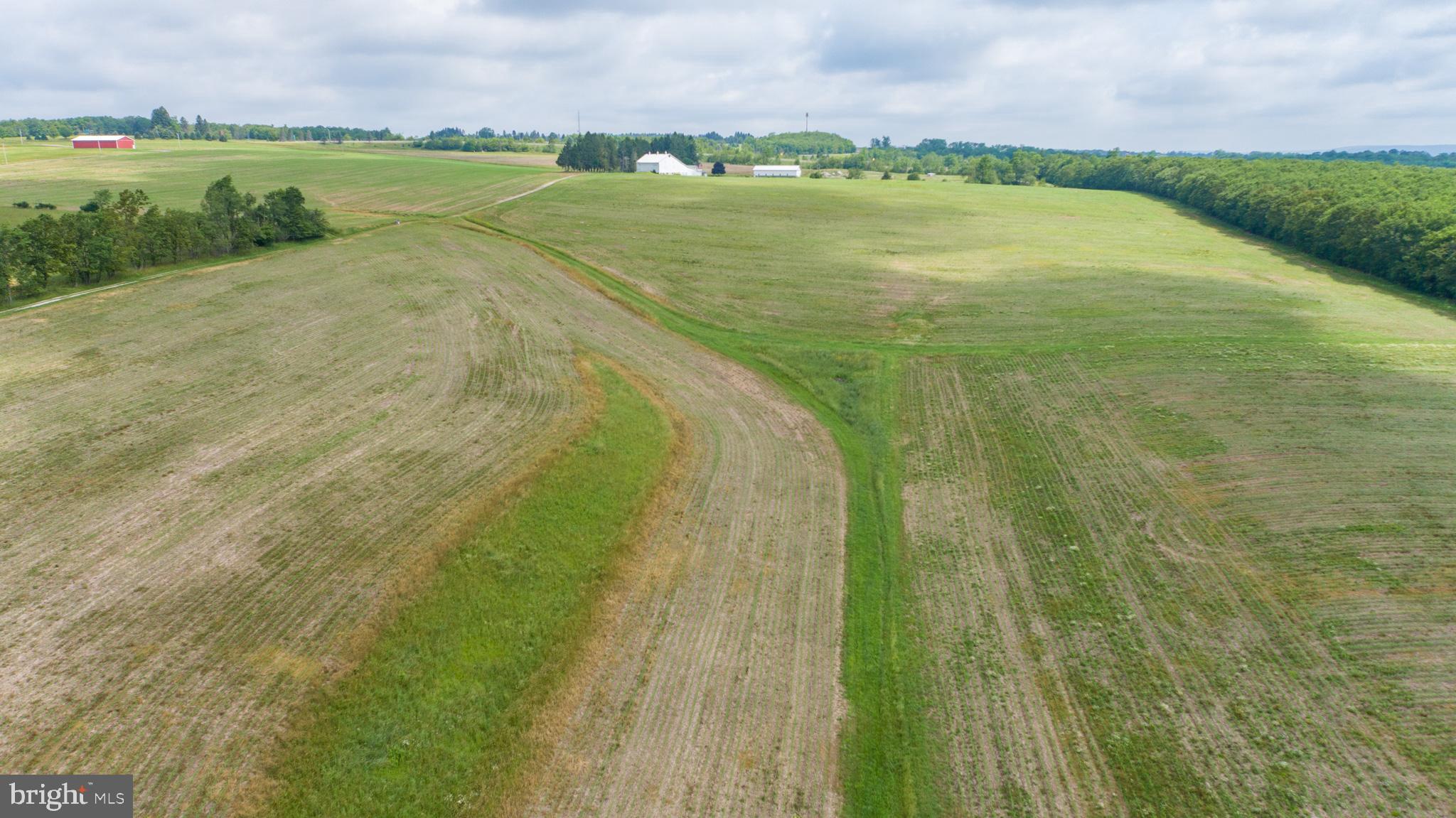 NONE AVAILABLE - Farm