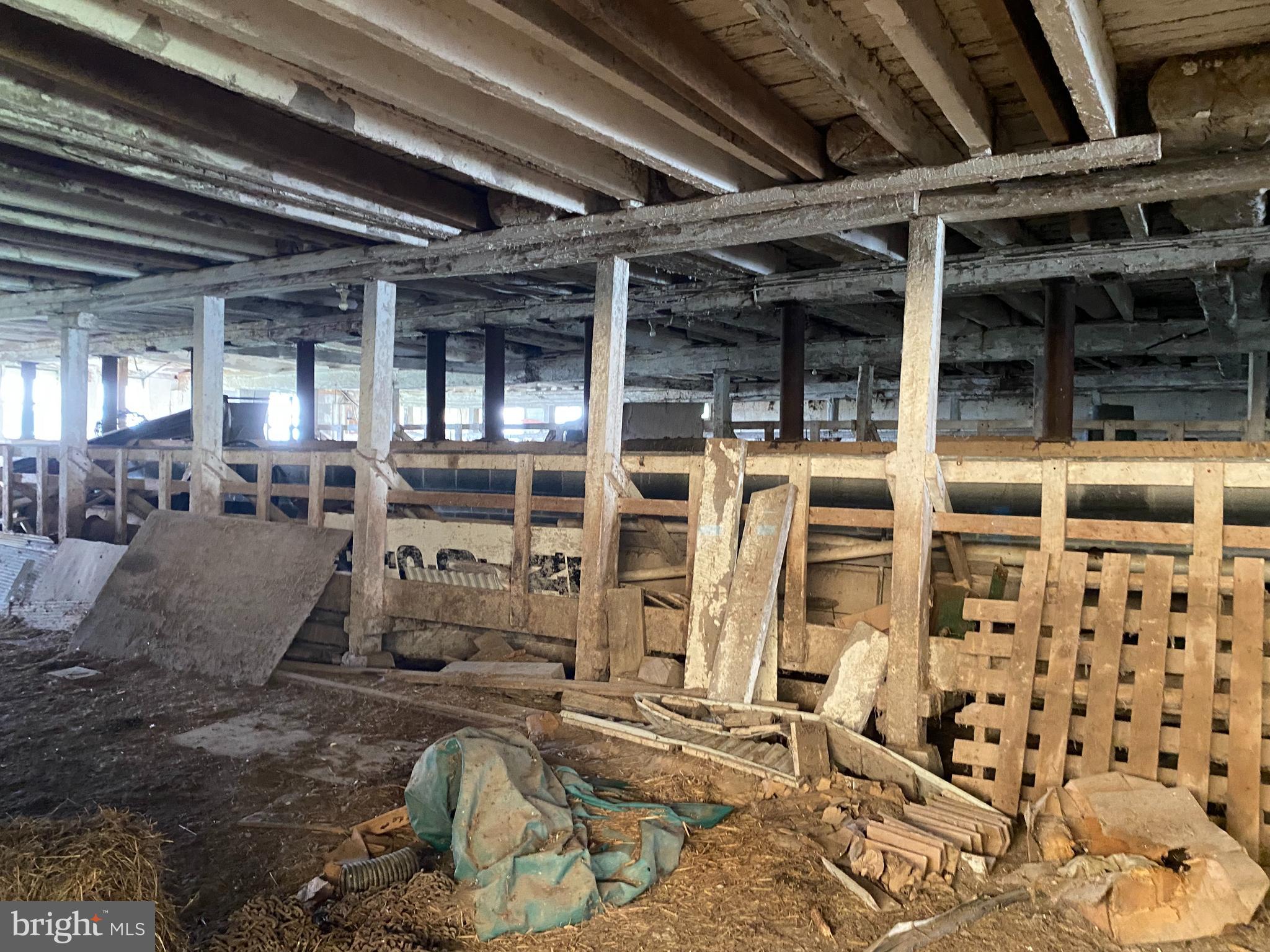 NONE AVAILABLE - Farm