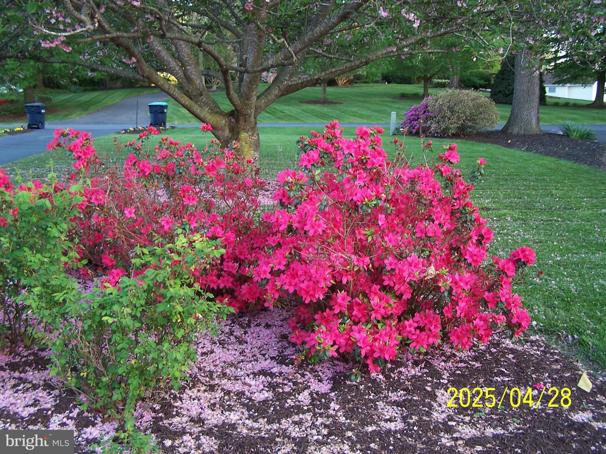 POINT FARM - Residential