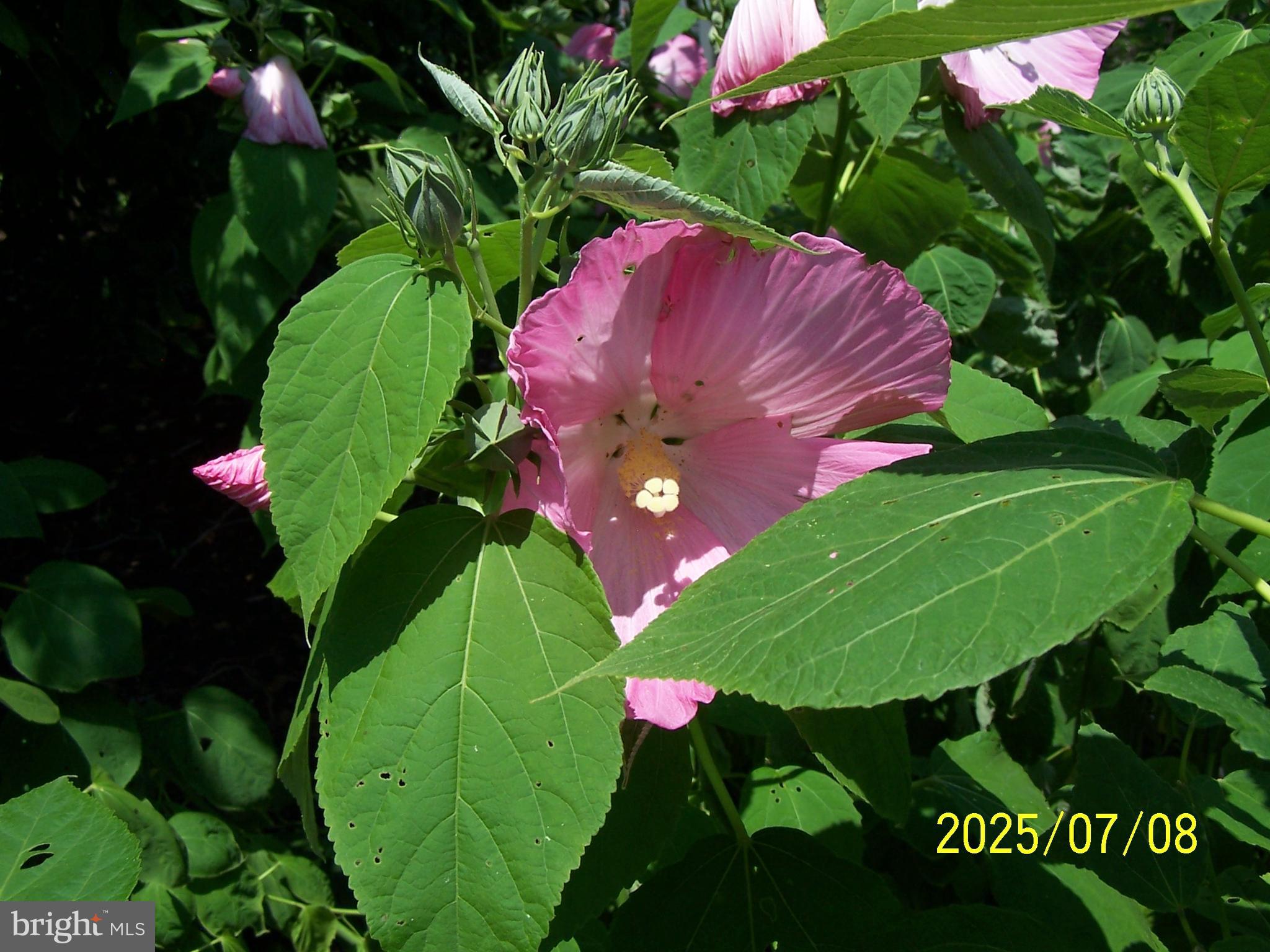 POINT FARM - Residential