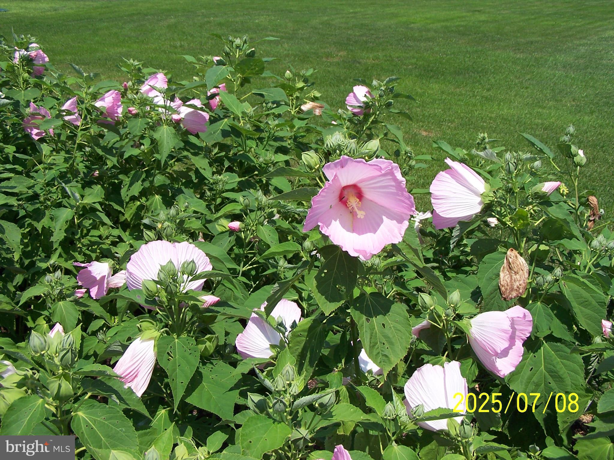 POINT FARM - Residential