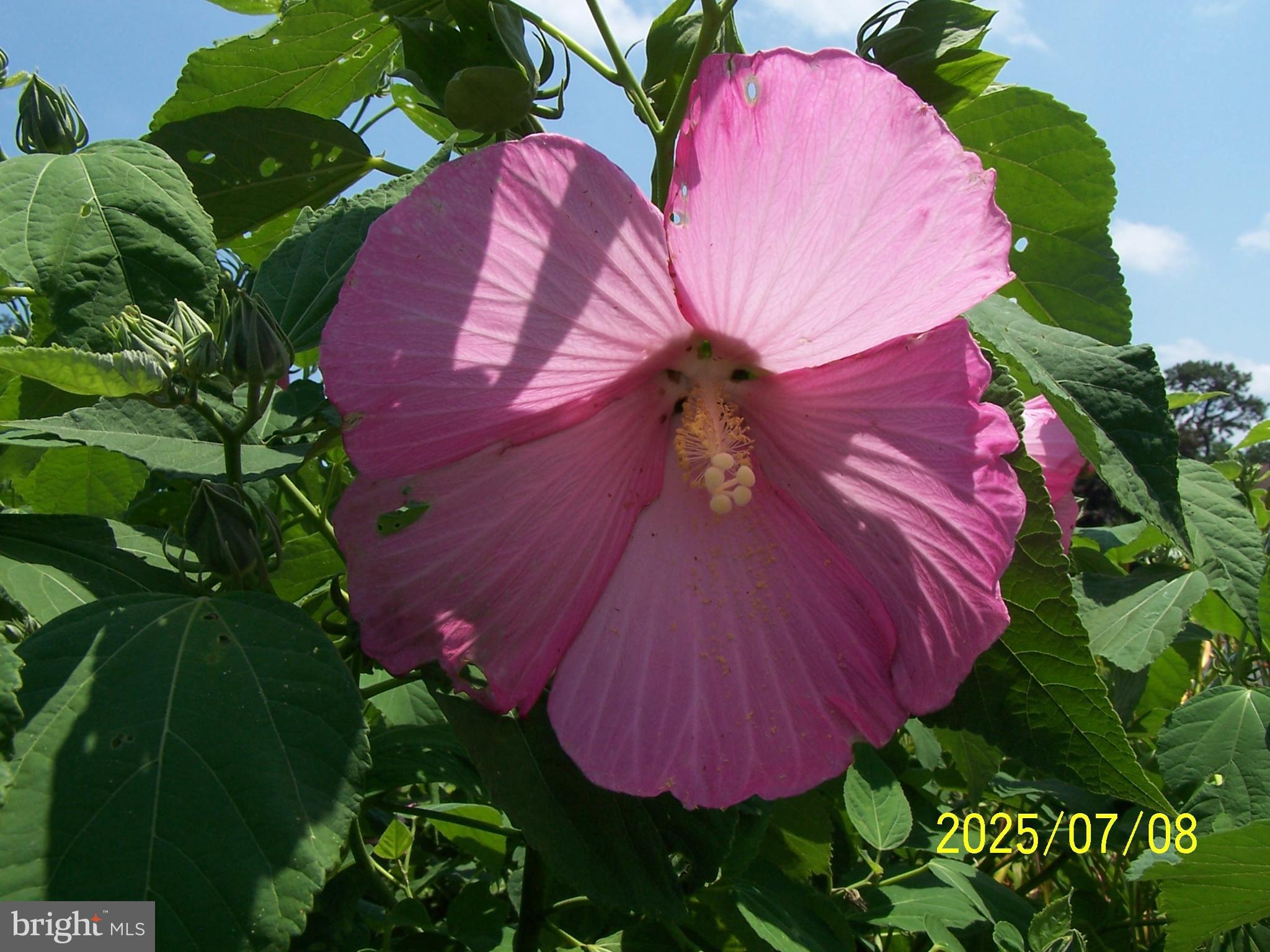 POINT FARM - Residential