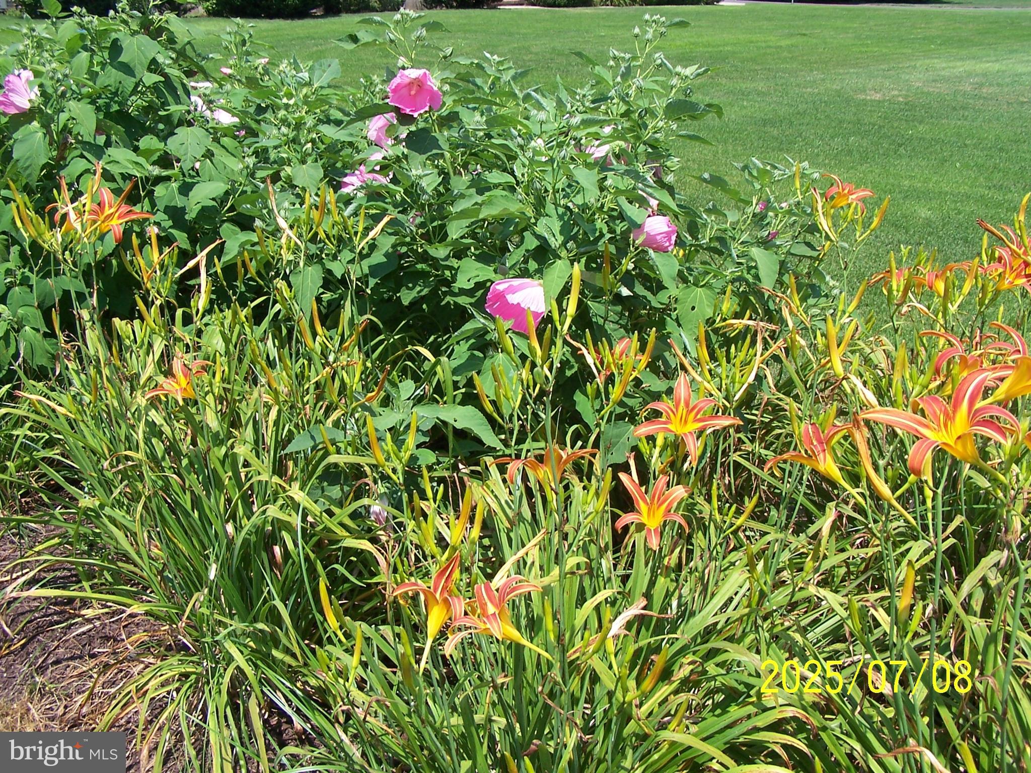 POINT FARM - Residential