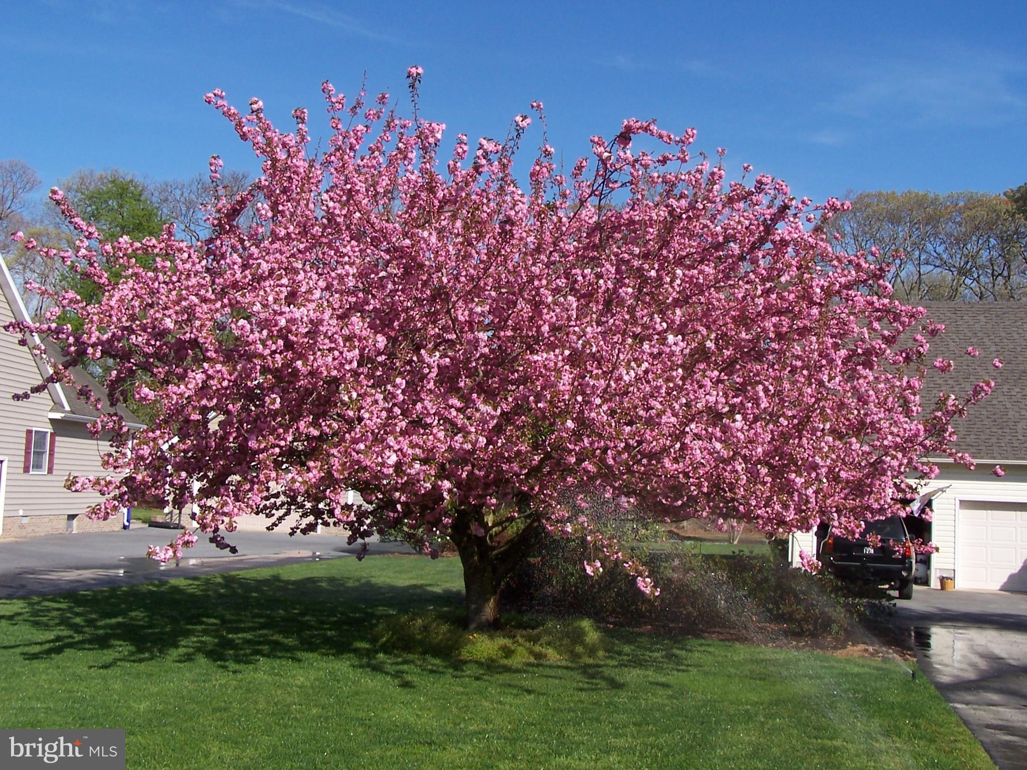 POINT FARM - Residential