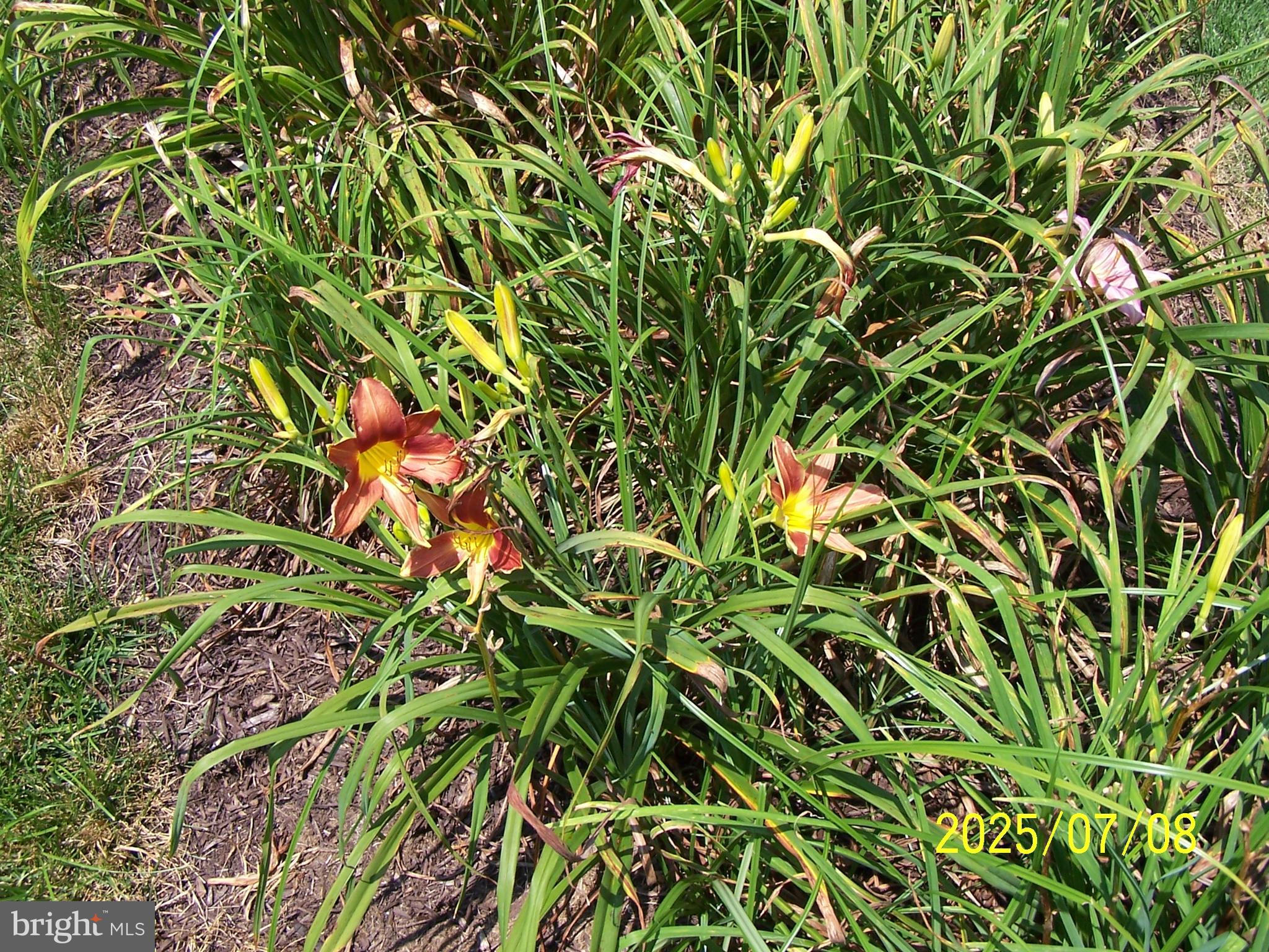 POINT FARM - Residential