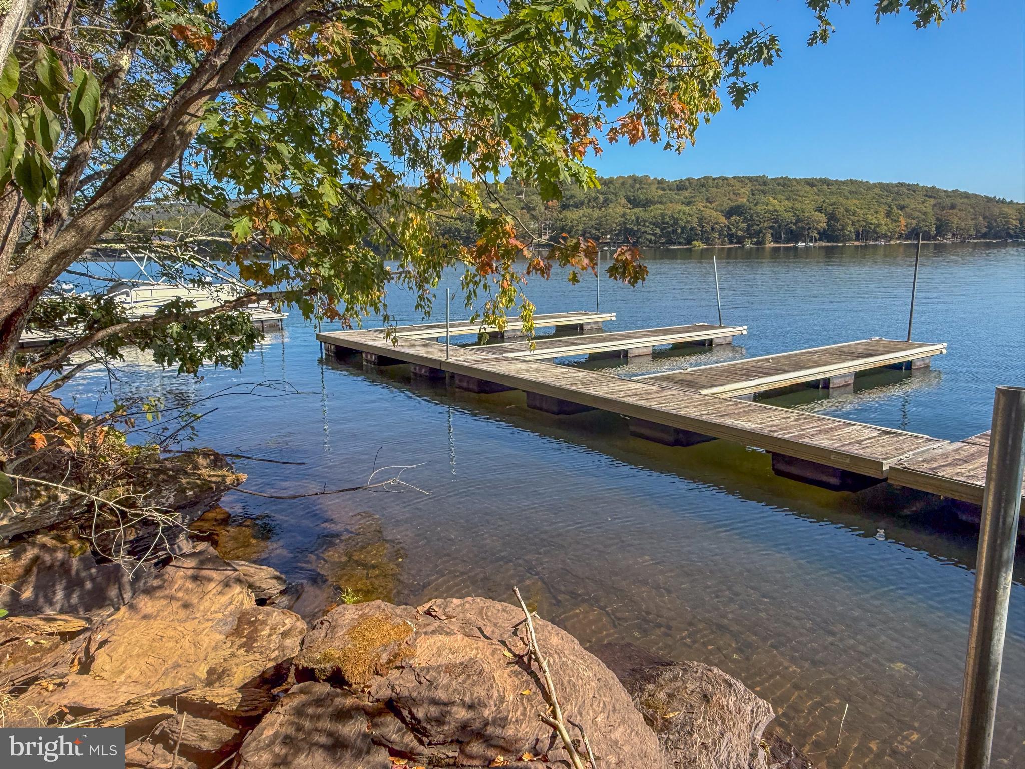 PARADISE FOUND - Residential