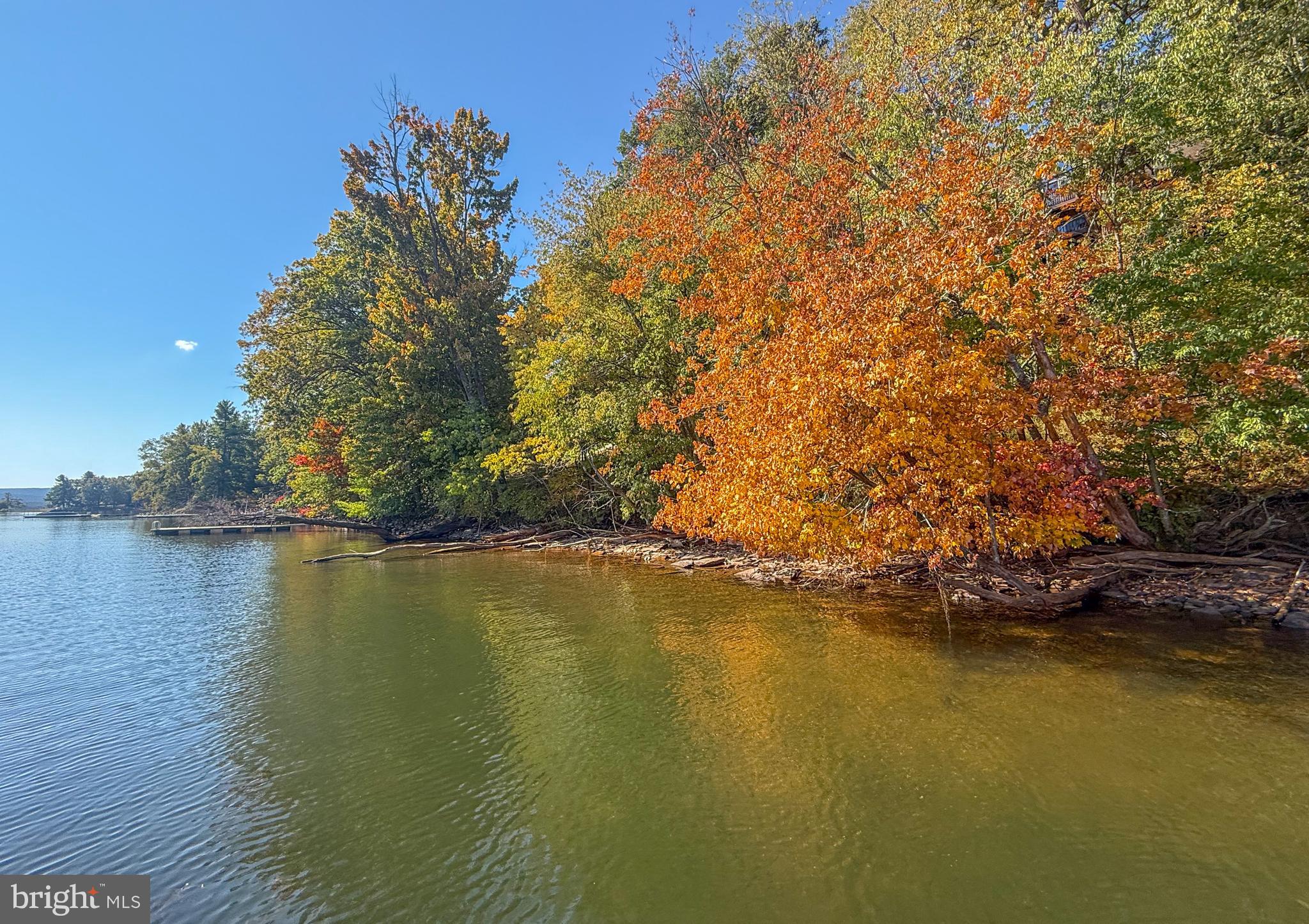 PARADISE FOUND - Residential