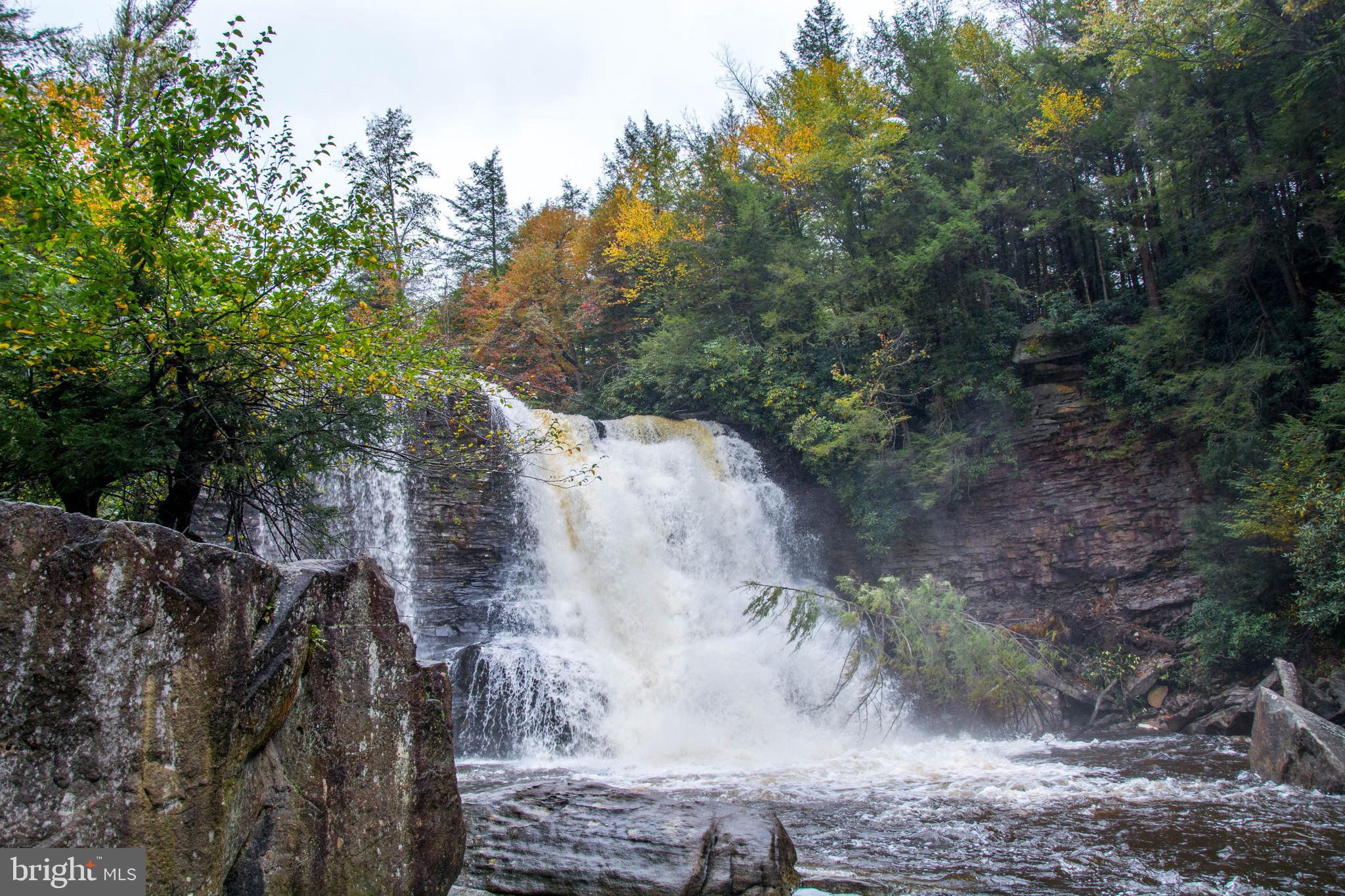 PARADISE FOUND - Residential