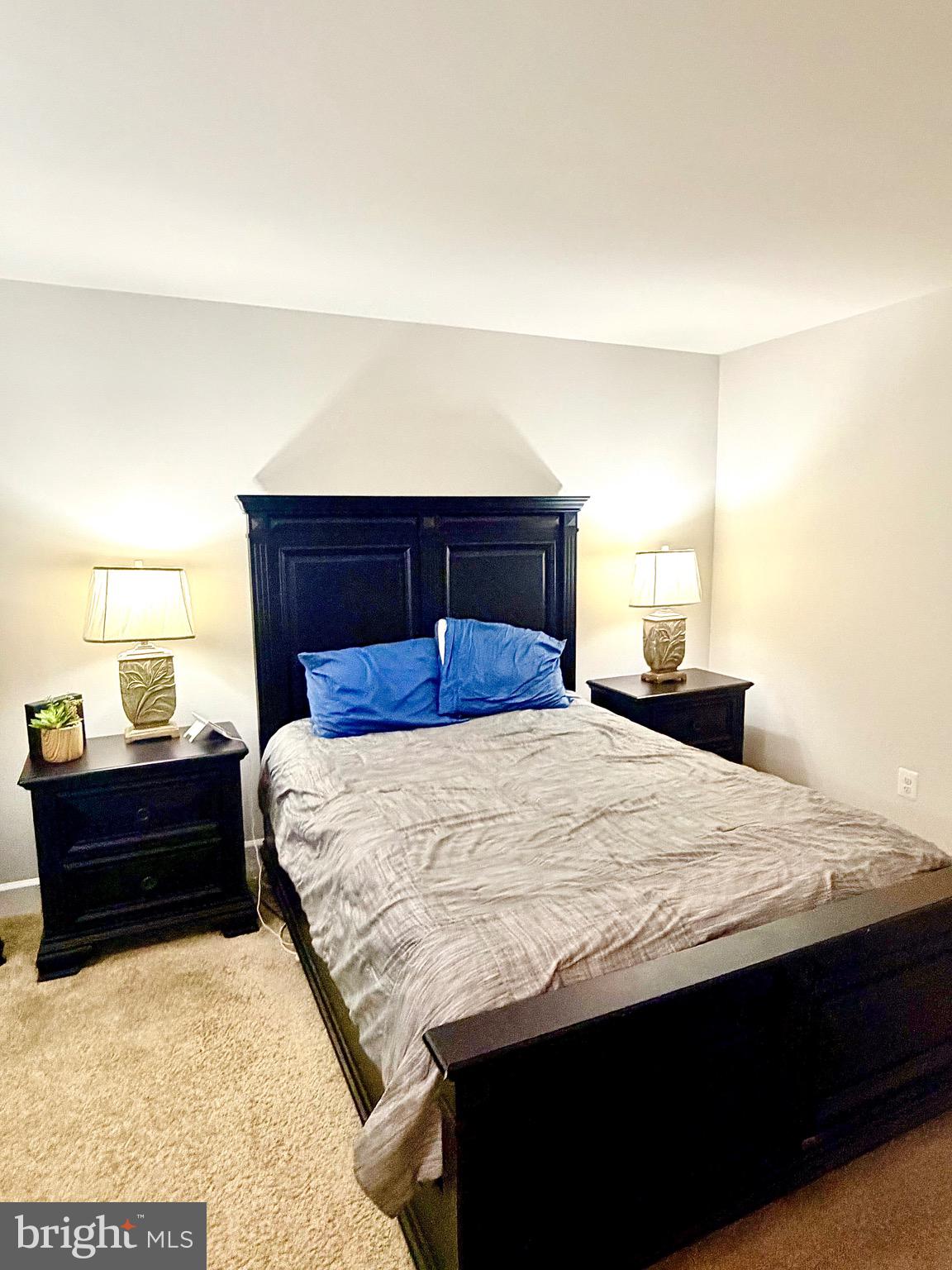 HAMILTON PARK - Residential