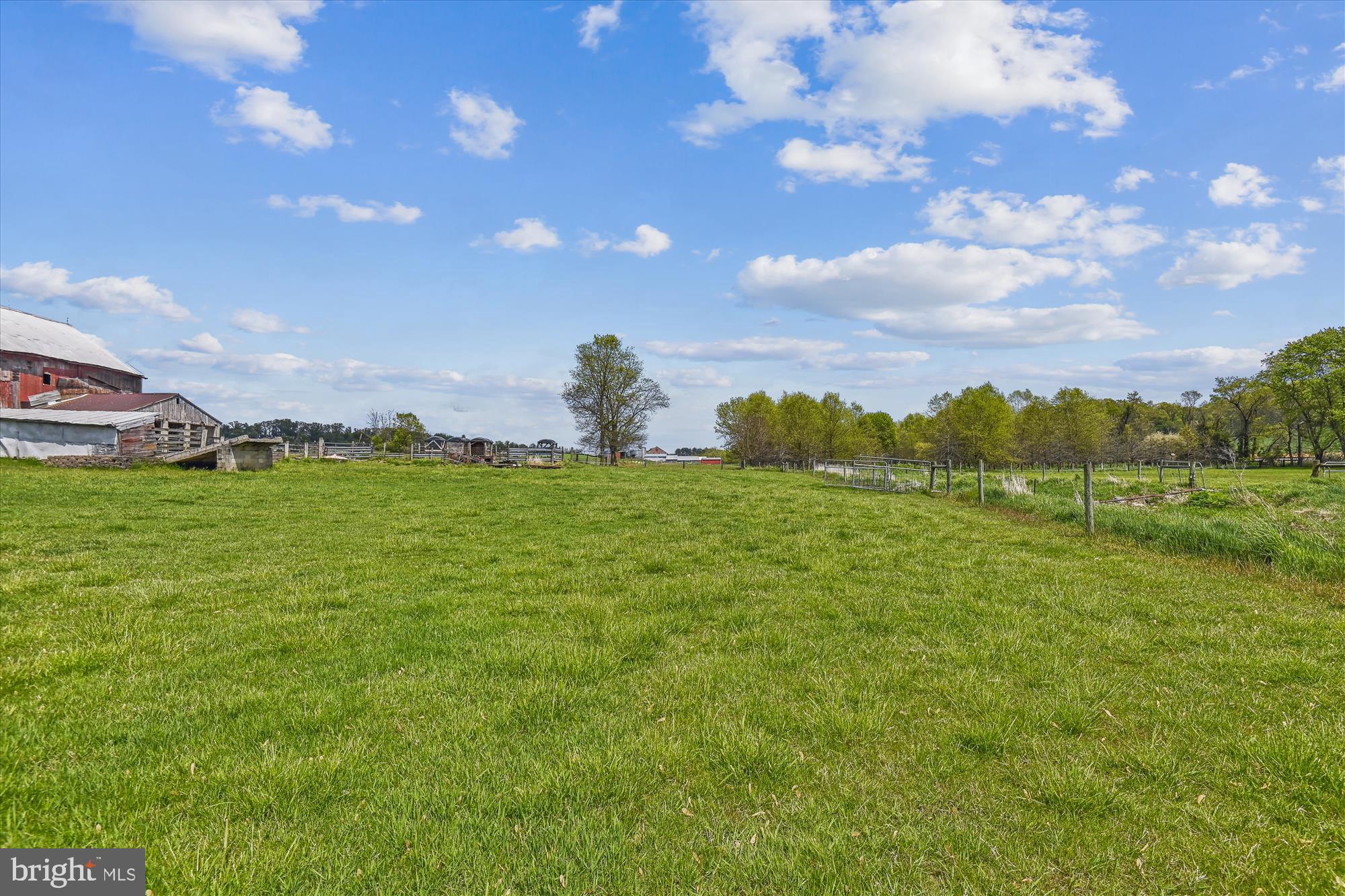 NONE AVAILABLE - Farm