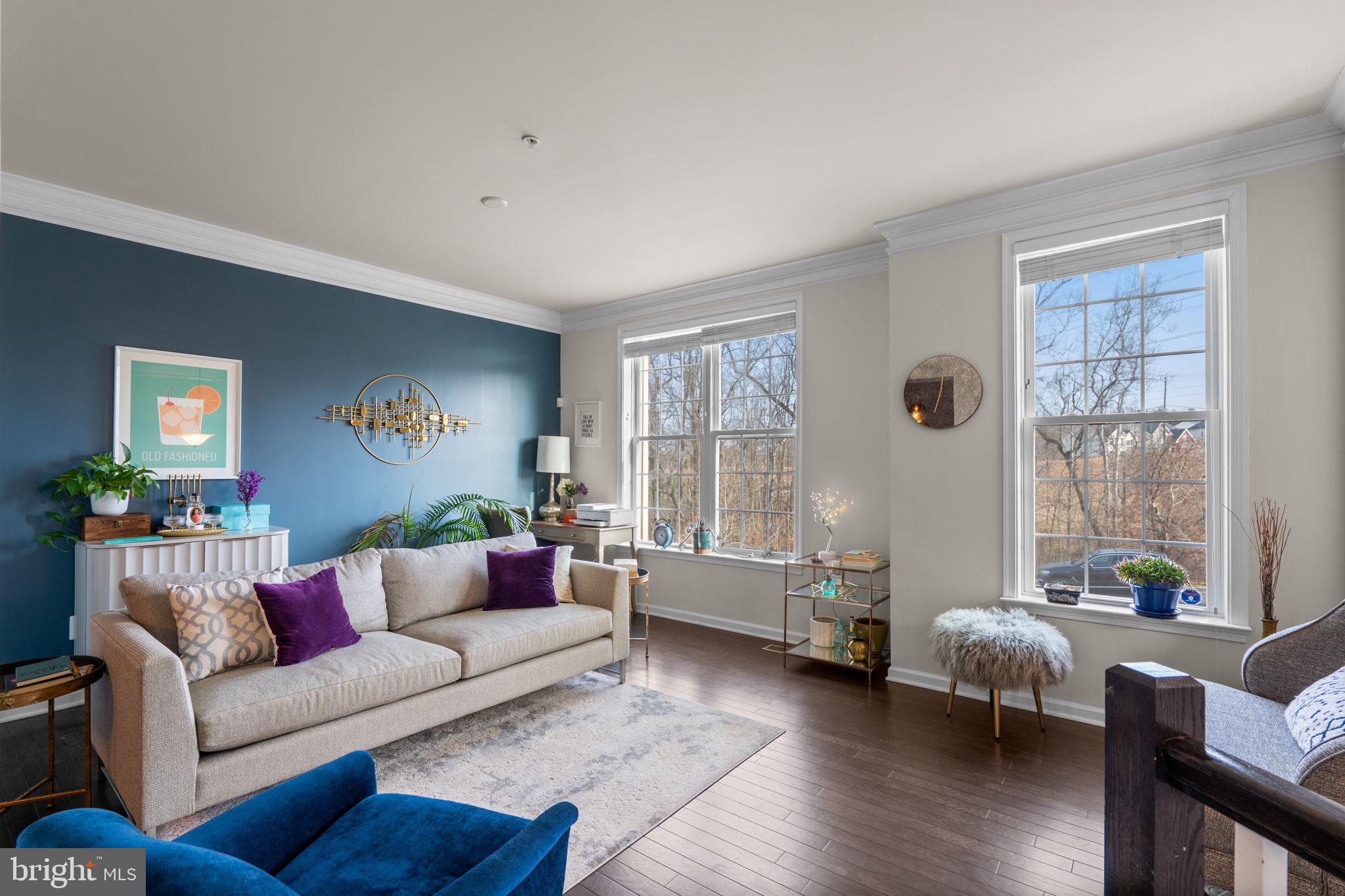 4323 SPRING FOAL COURT