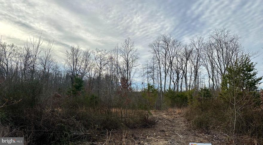New to the market! Enjoy the perfect blend of space and convenience with this 1.69-acre buildable lot. Whether you bring your own builder or choose one of our recommended professionals, this property offers endless possibilities. Just minutes from Lake Anna, shopping, and dining—ideal for your future home!