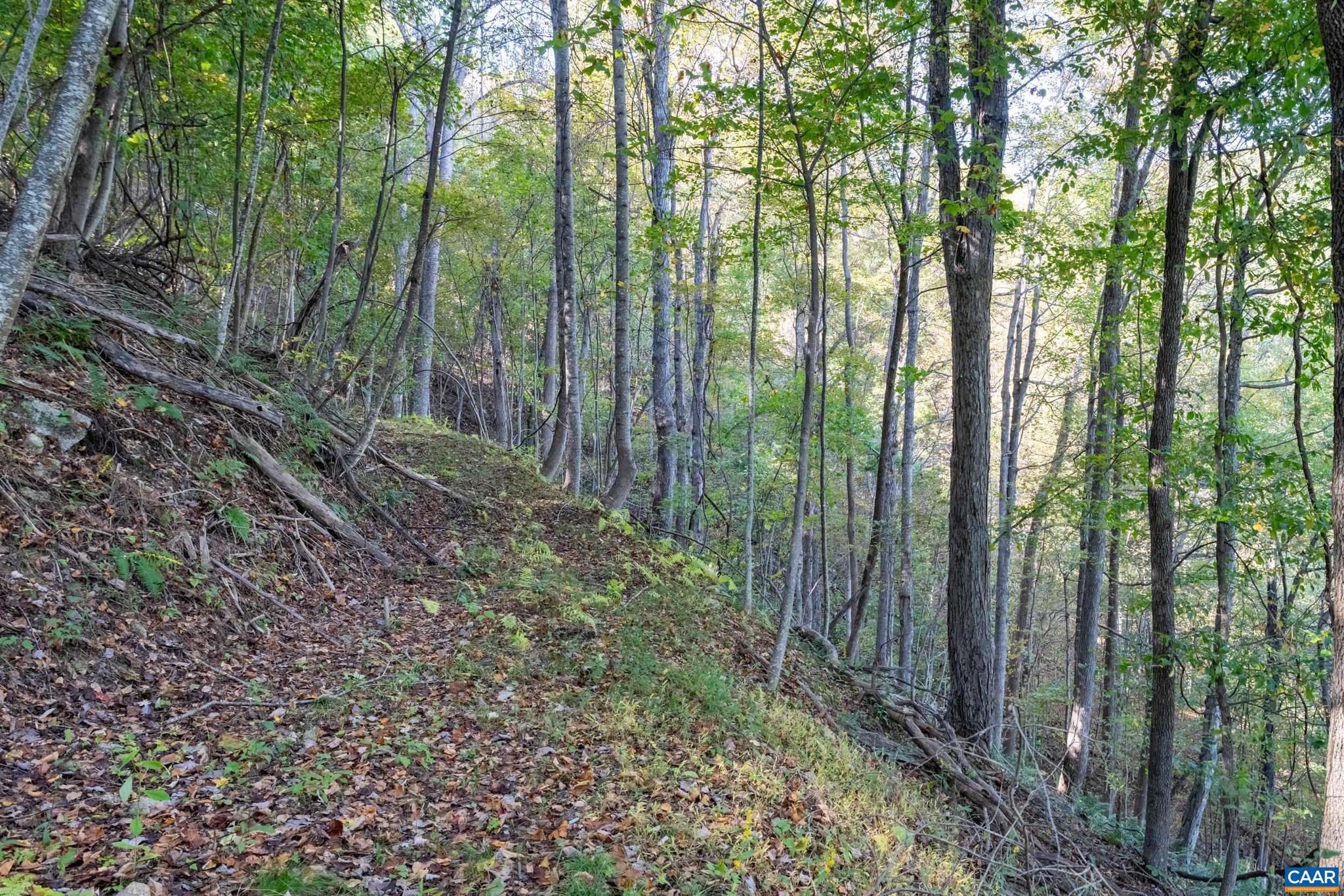 CRABTREE BLUFFS - Land