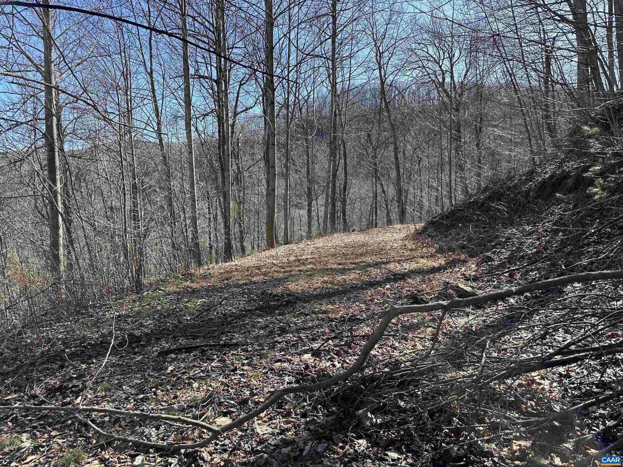 CRABTREE BLUFFS - Land