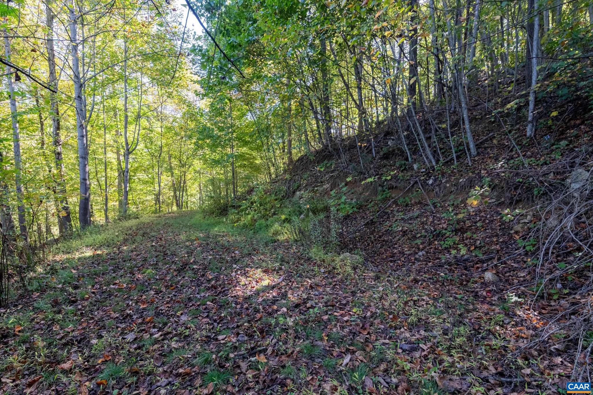 CRABTREE BLUFFS - Land