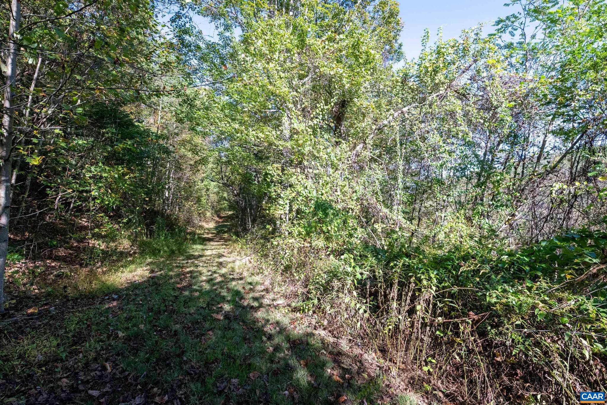 CRABTREE BLUFFS - Land