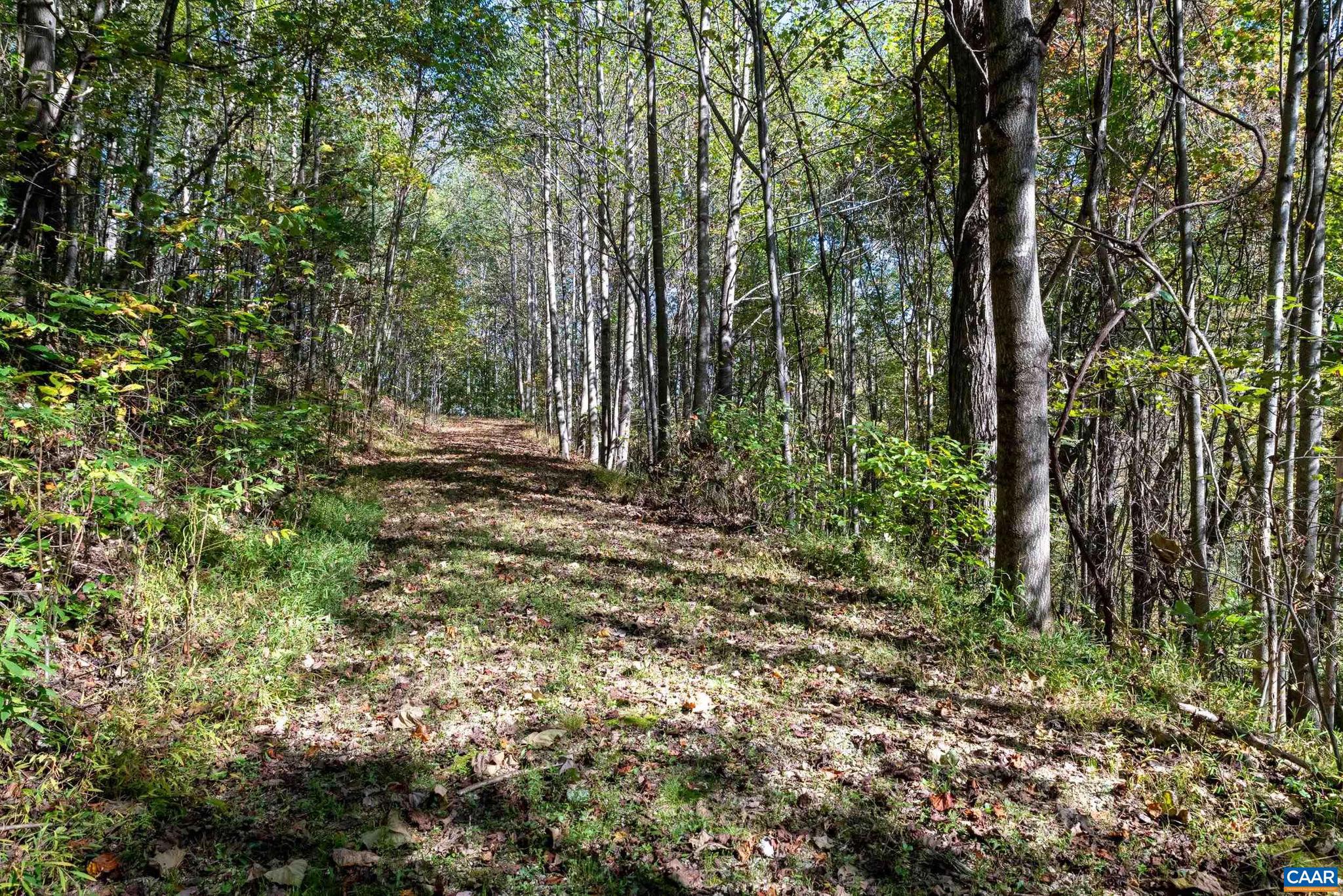 CRABTREE BLUFFS - Land