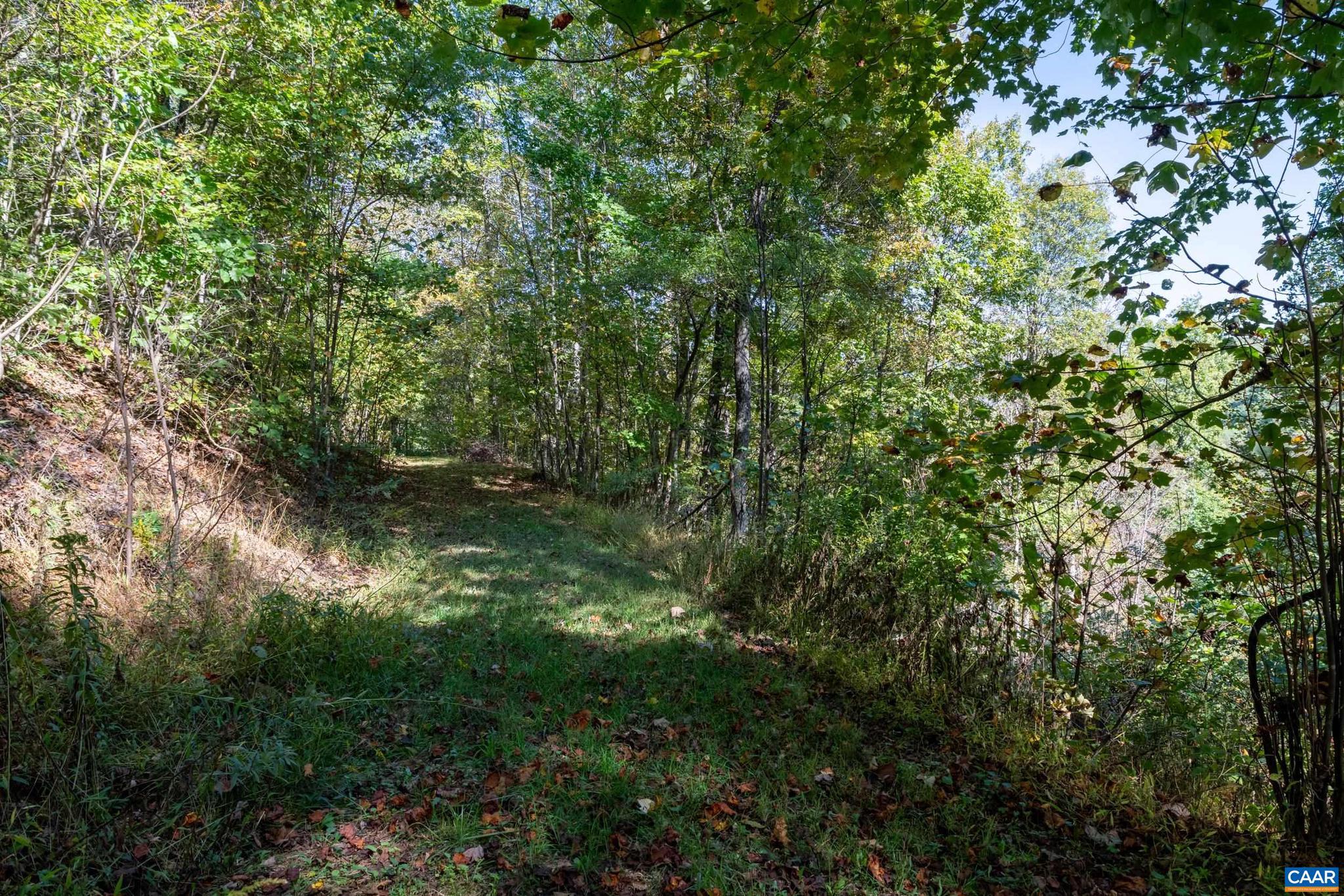 CRABTREE BLUFFS - Land