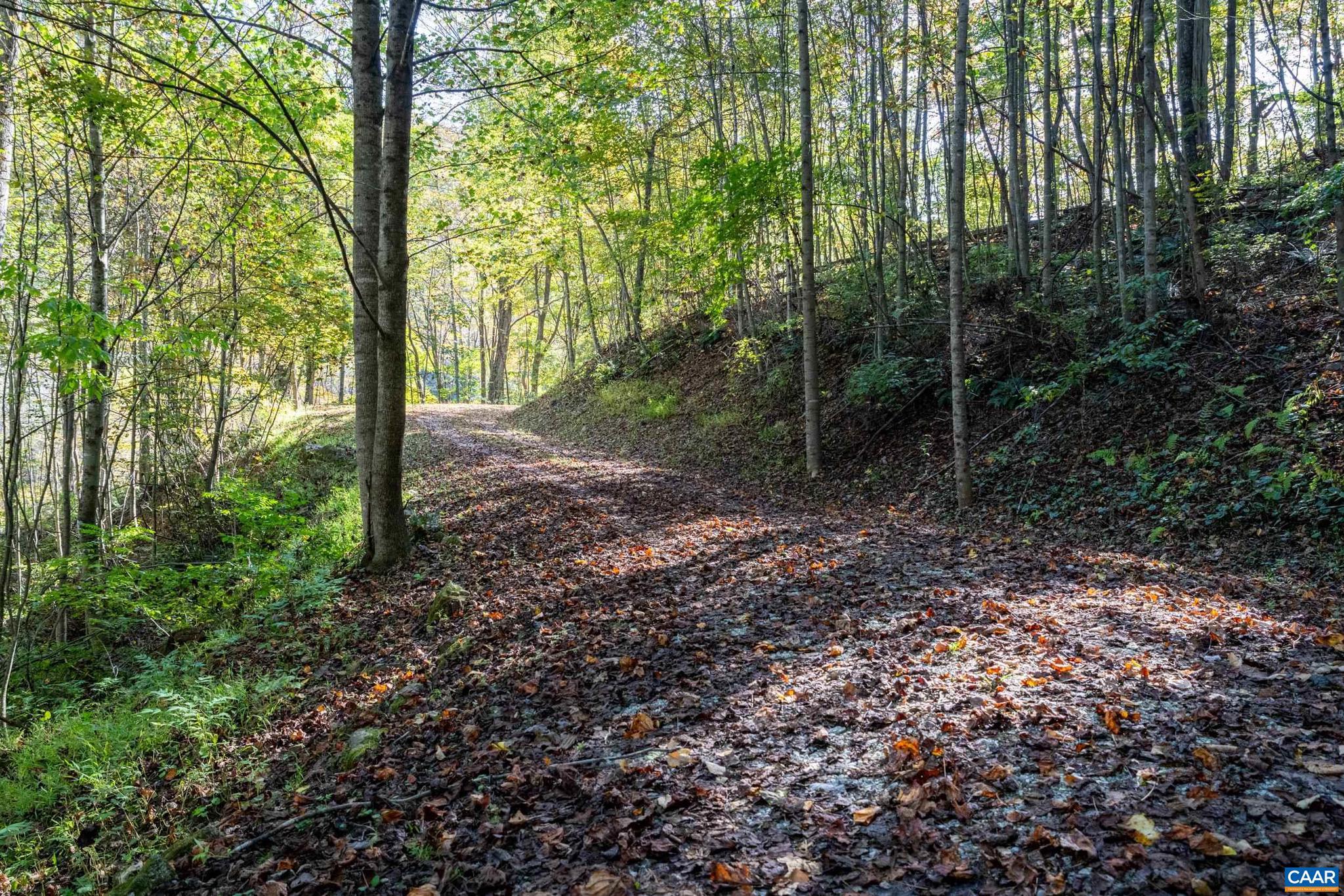 CRABTREE BLUFFS - Land