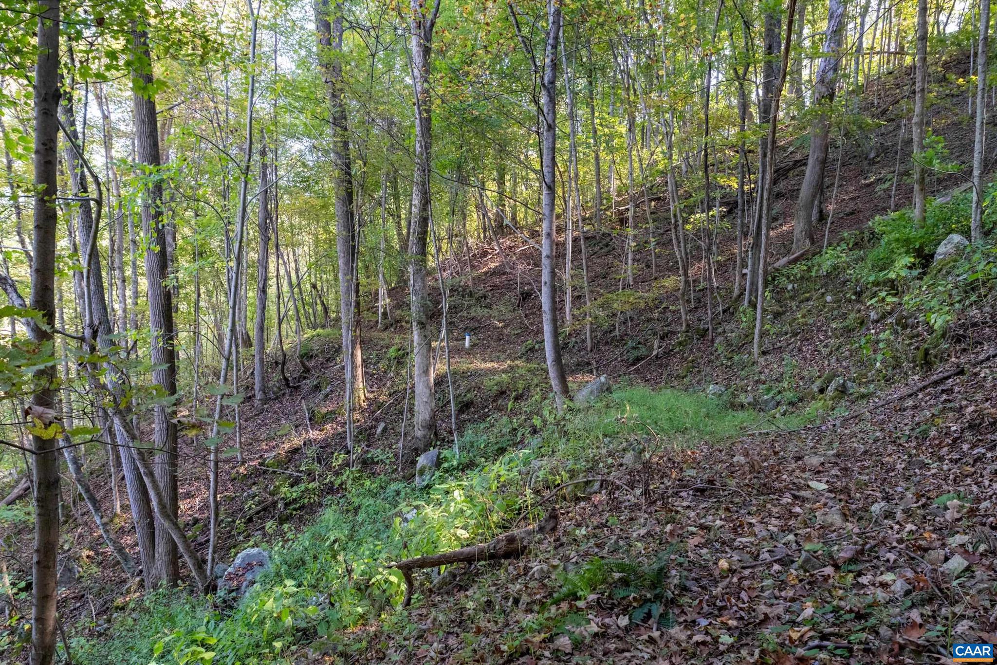 CRABTREE BLUFFS - Land