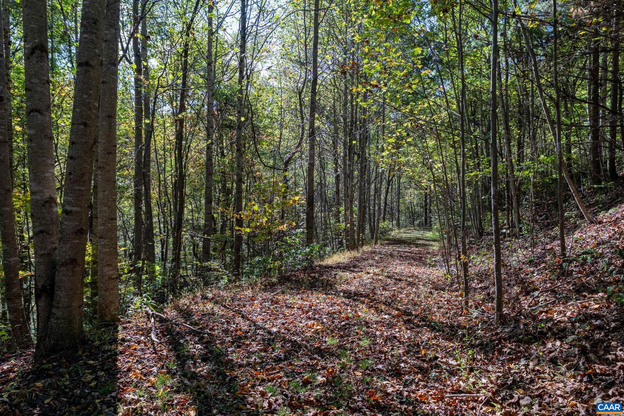 CRABTREE BLUFFS - Land