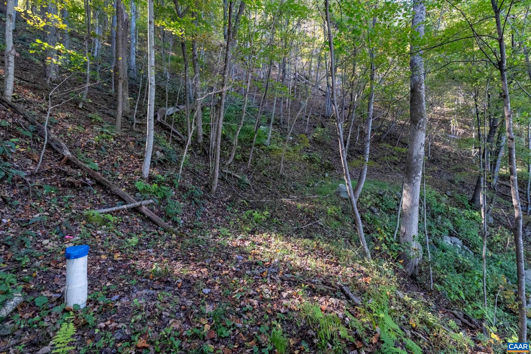 CRABTREE BLUFFS - Land