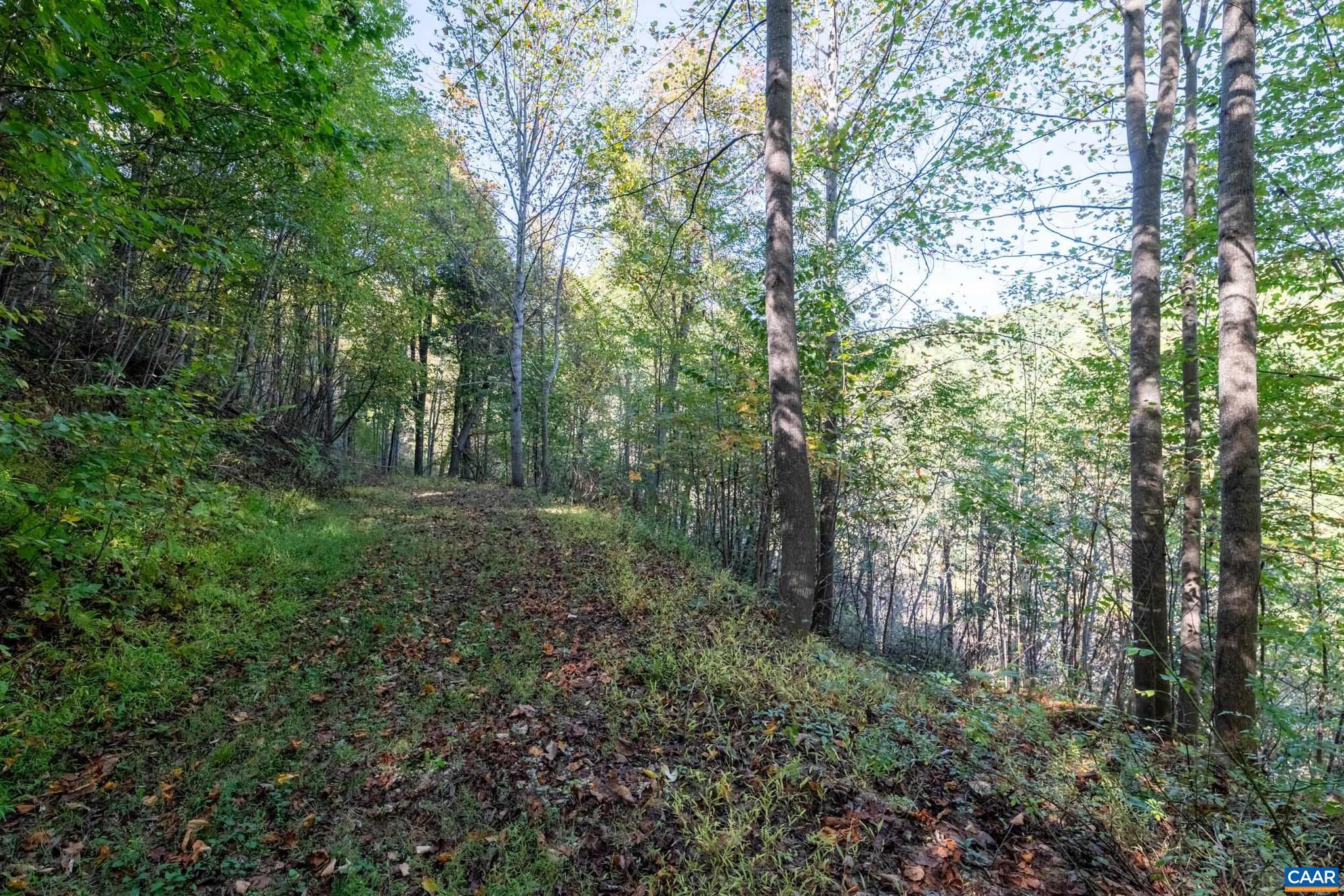 CRABTREE BLUFFS - Land