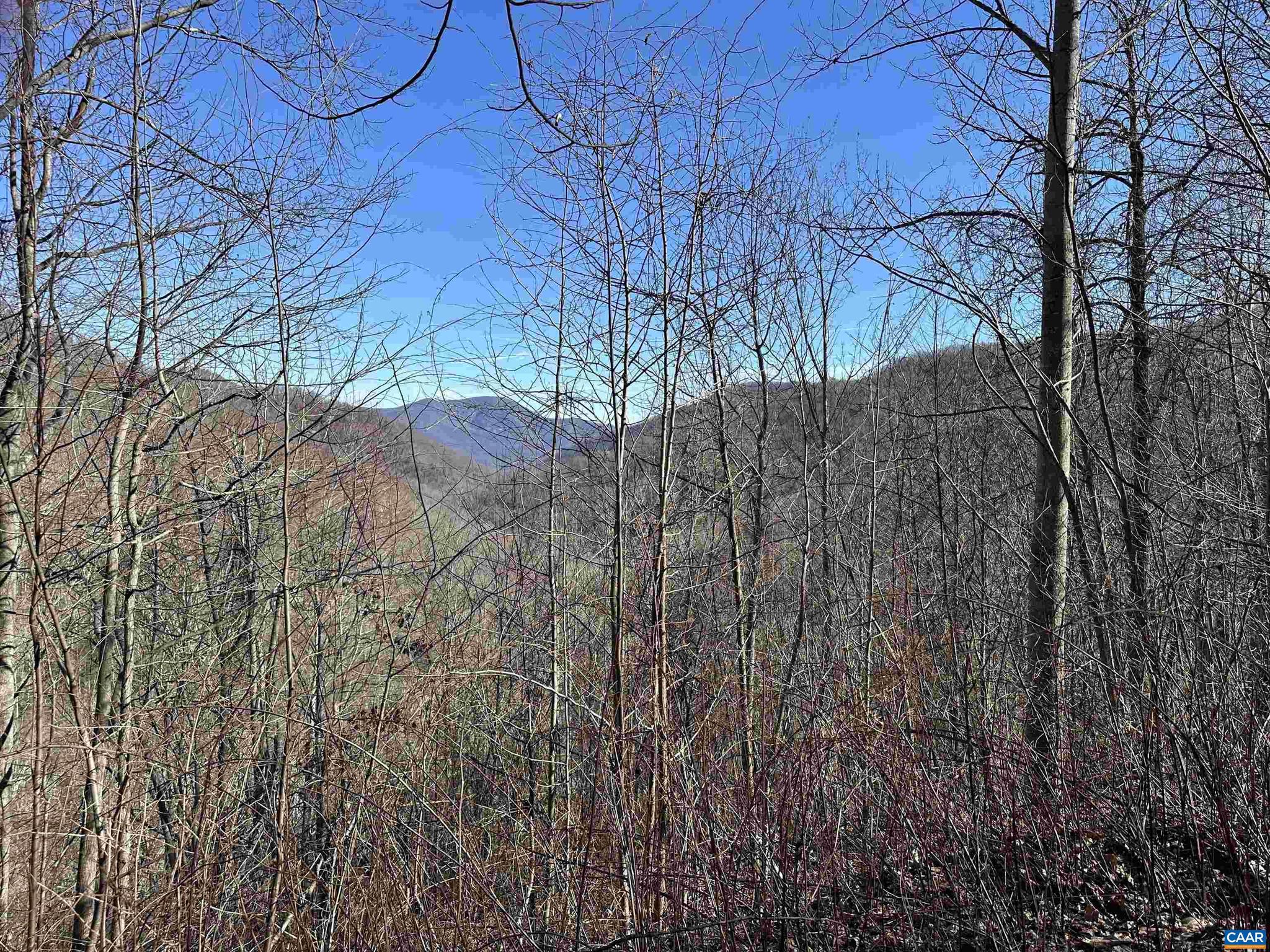 CRABTREE BLUFFS - Land