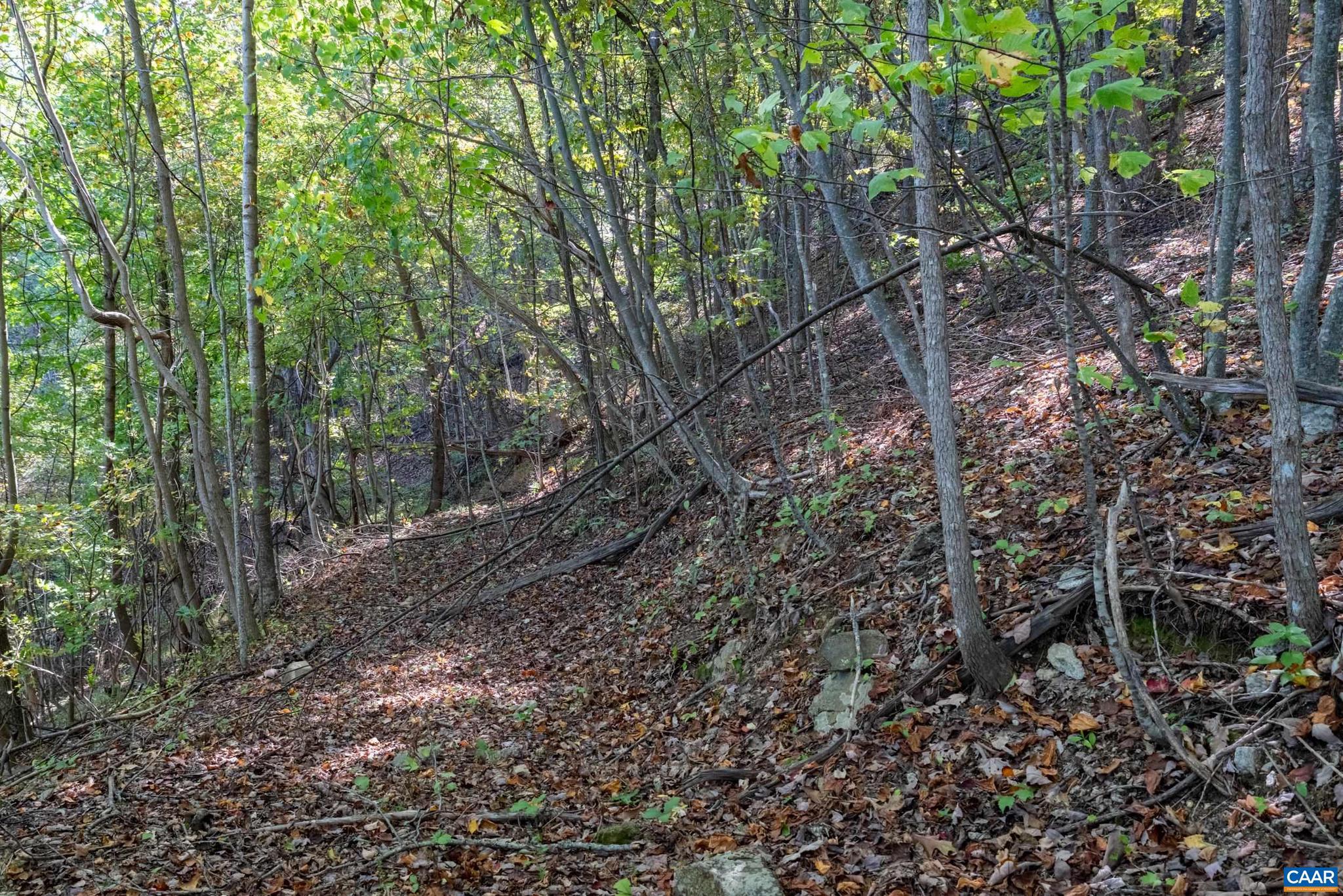 CRABTREE BLUFFS - Land