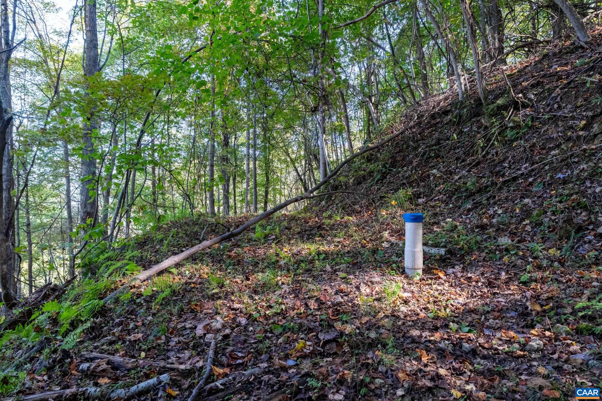 CRABTREE BLUFFS - Land