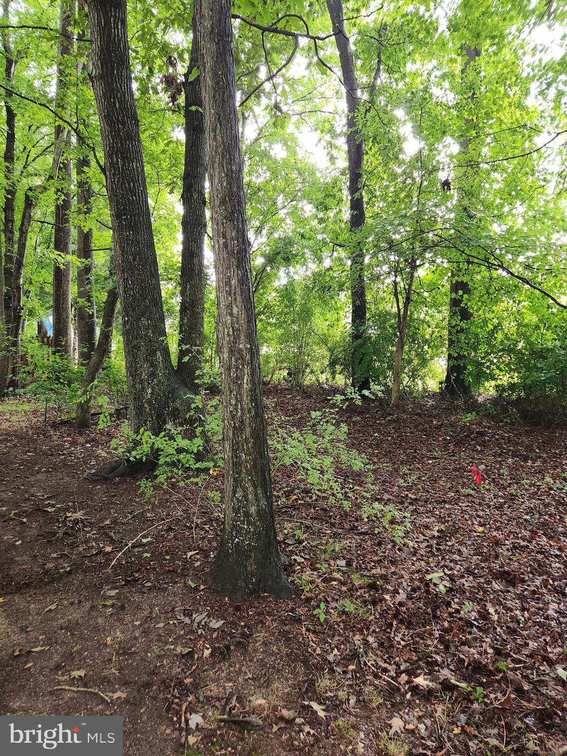 OCEAN PINES - SHERWOOD FOREST - Residential