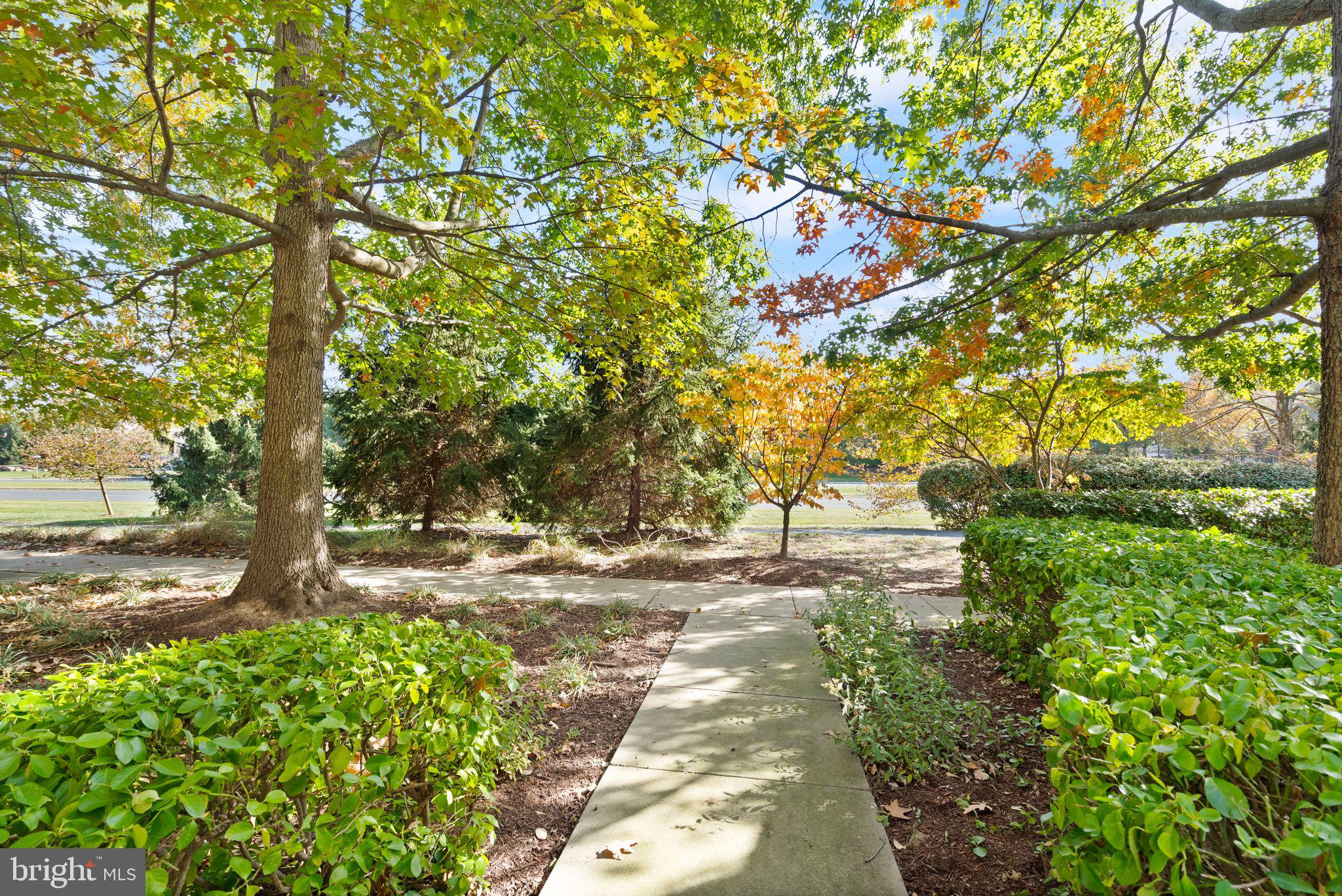 SUMMERFIELD - Residential